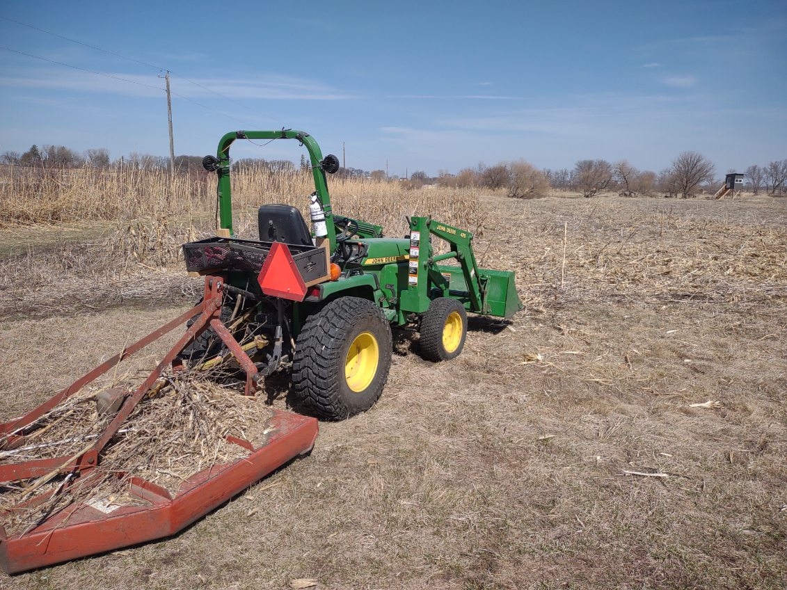 cutting corn.jpg