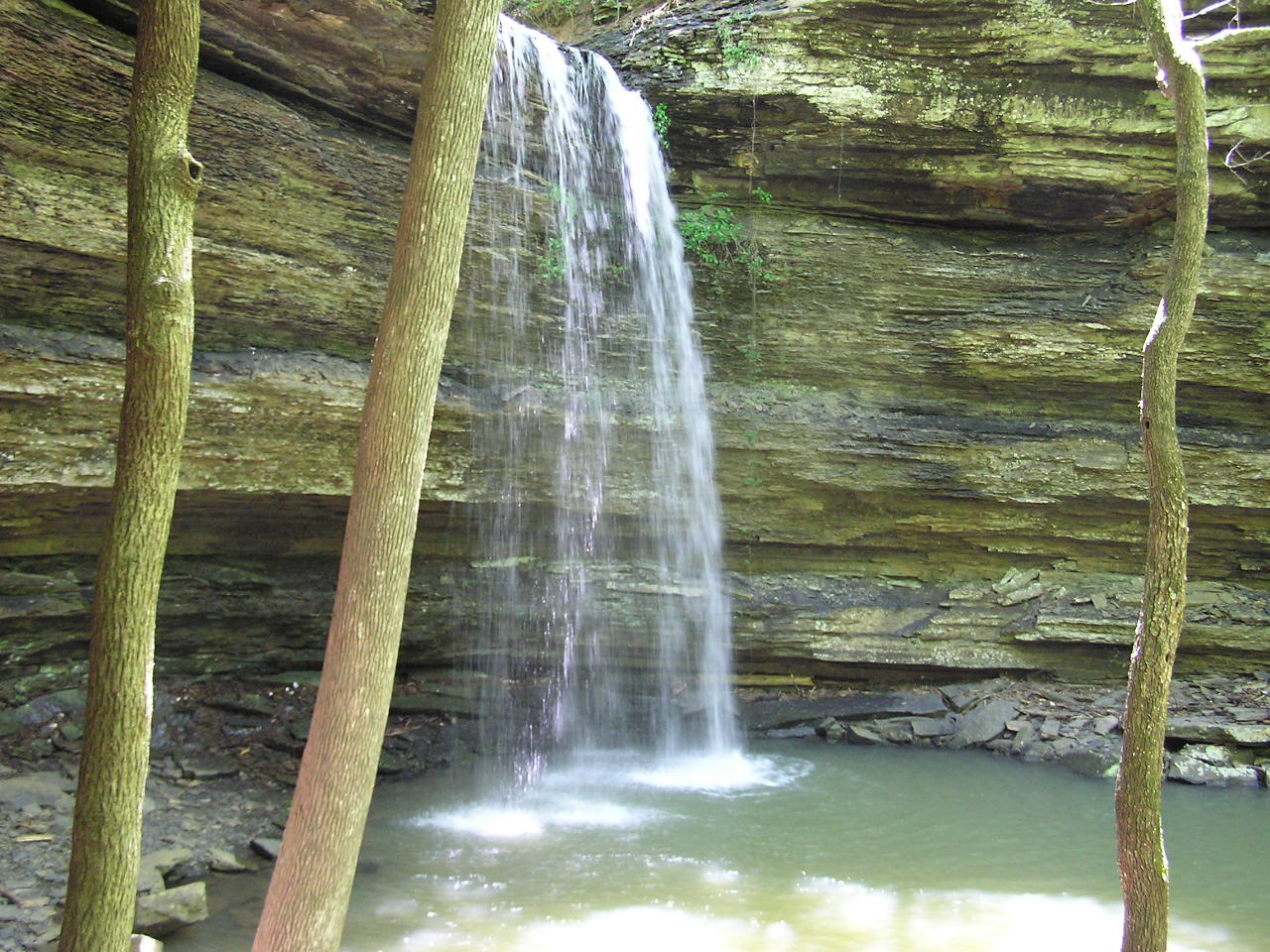 D D 4-2004 (10).JPG