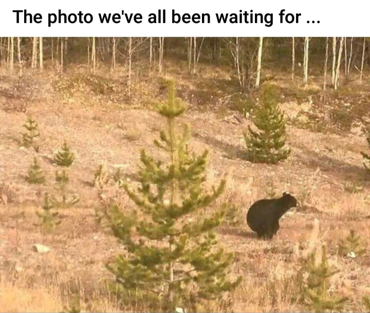 D0DC969E-5E84-4948-8246-5AF61357E56D.jpeg