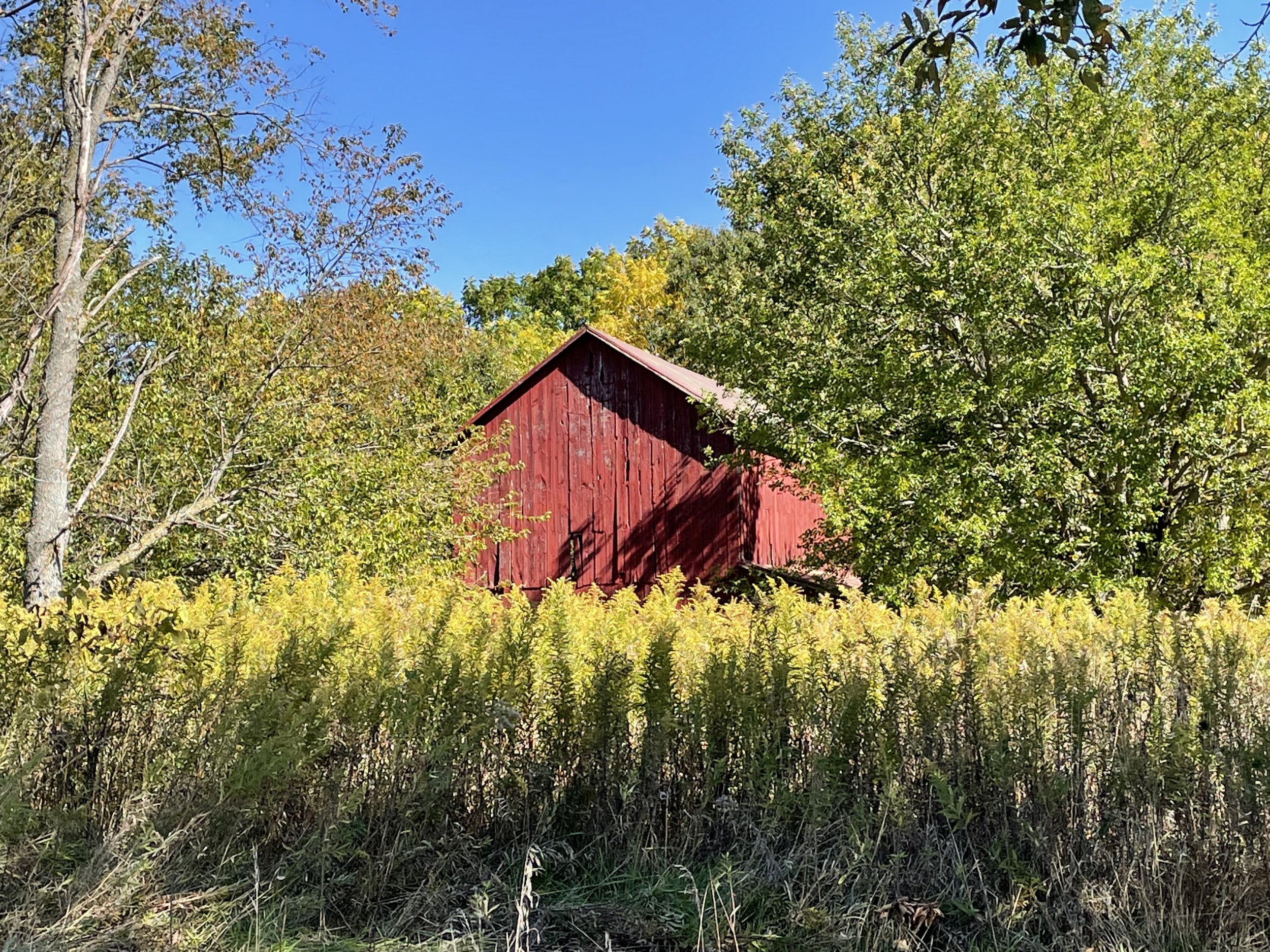D92AEB26-91DE-4EC1-97CC-F18DF8C785B6.jpeg