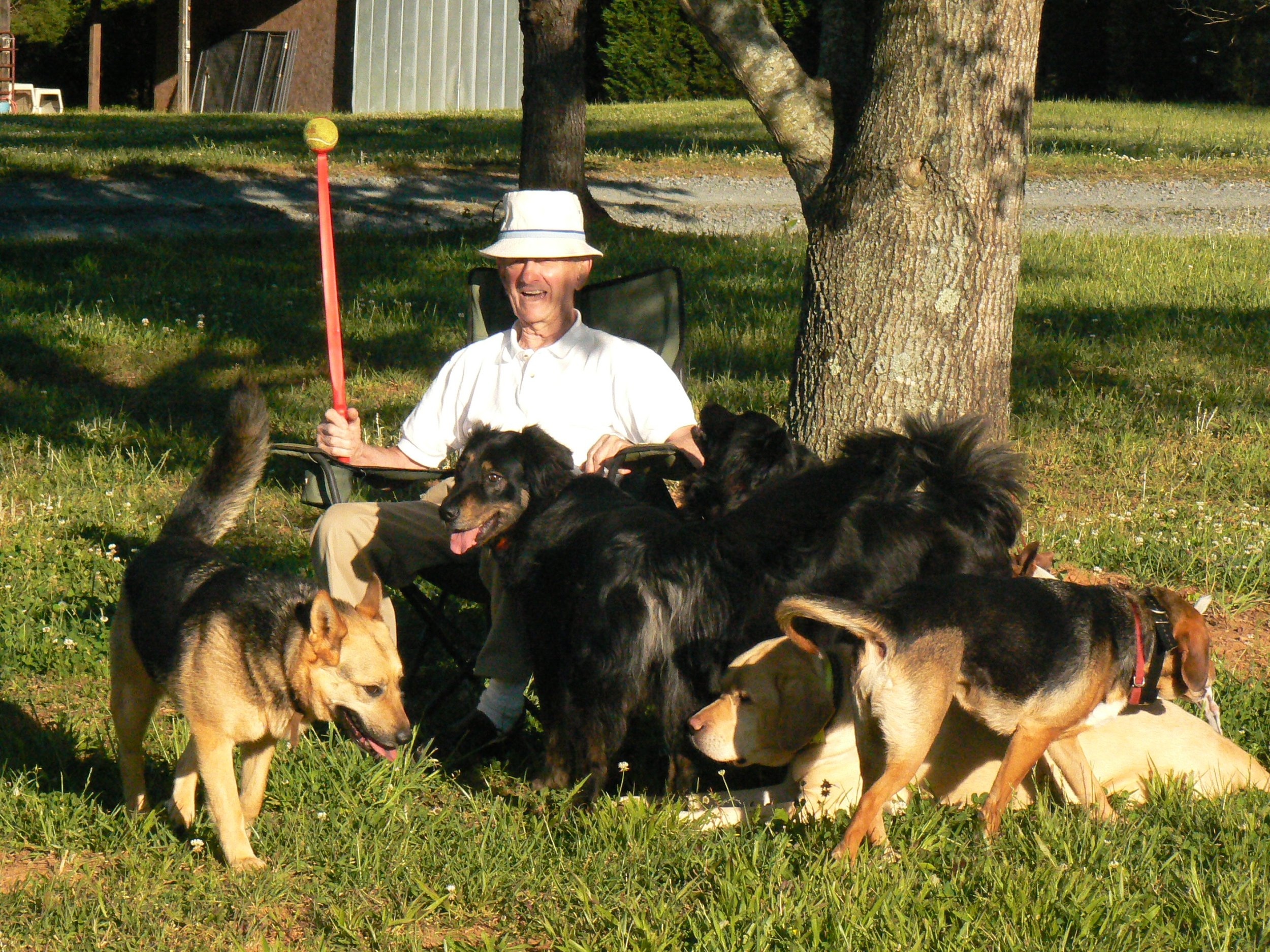 dad and dogs.jpg