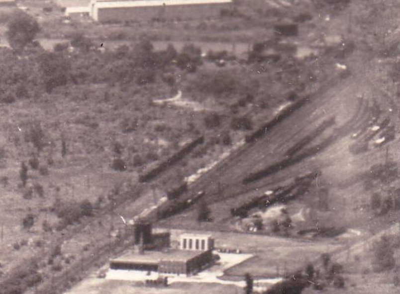 darby-tt.jpg