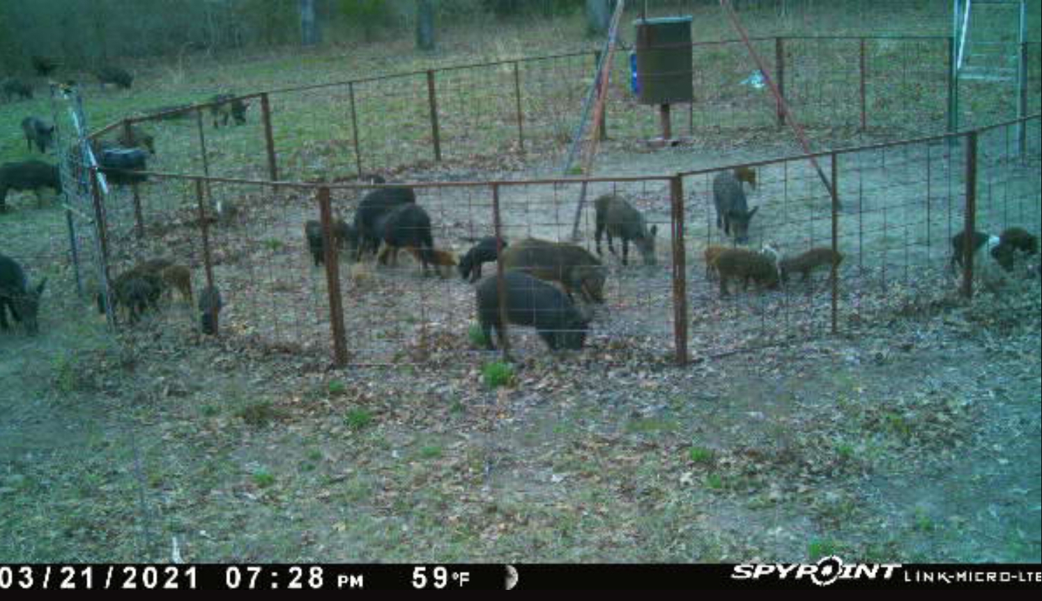 DEAFEF50-BC4A-4EE0-A387-415F375C75CC.jpeg DEAFEF50-BC4A-4EE0-A387-415F375C75CC.jpeg