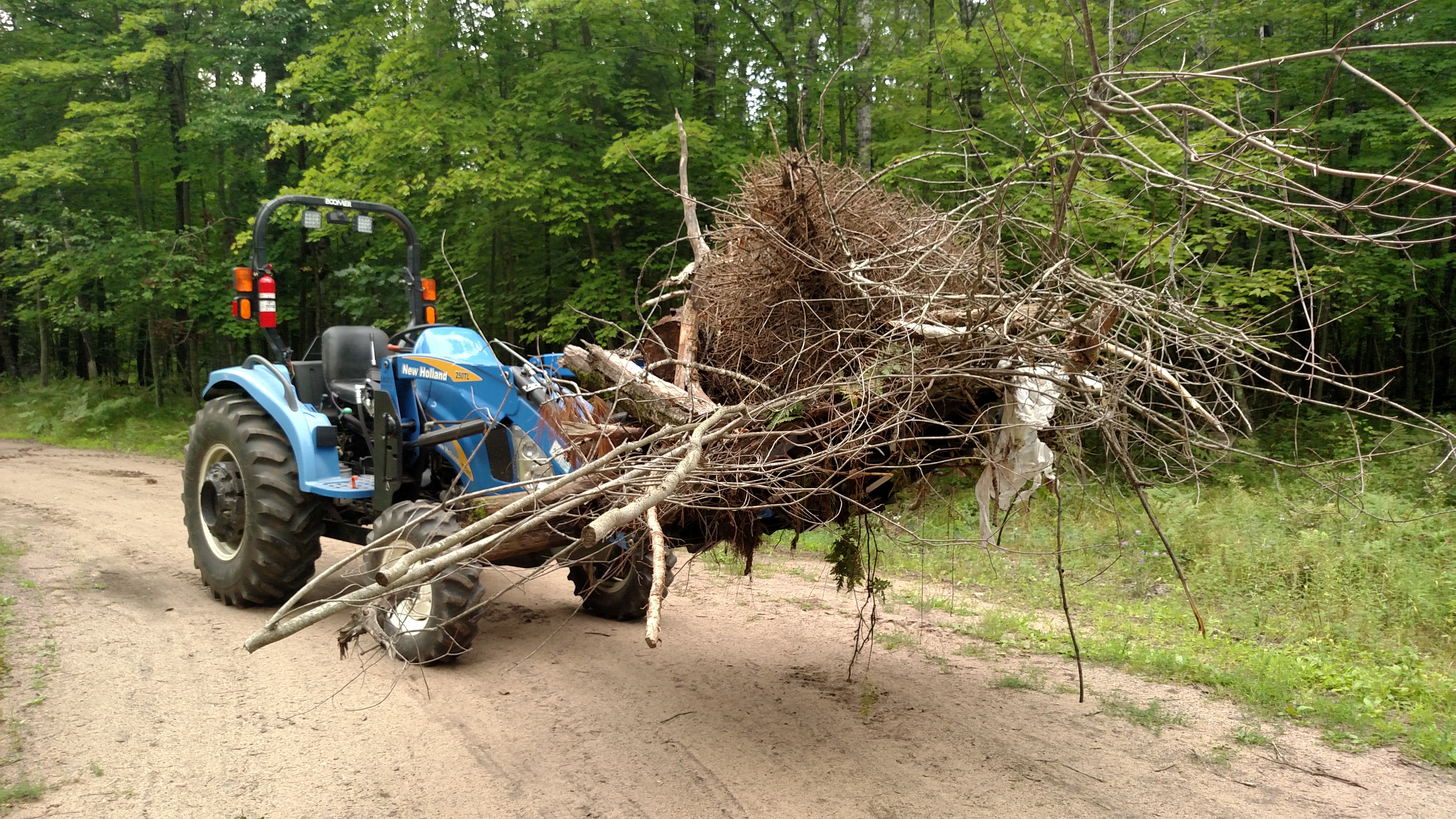 Debris forks Full.jpg