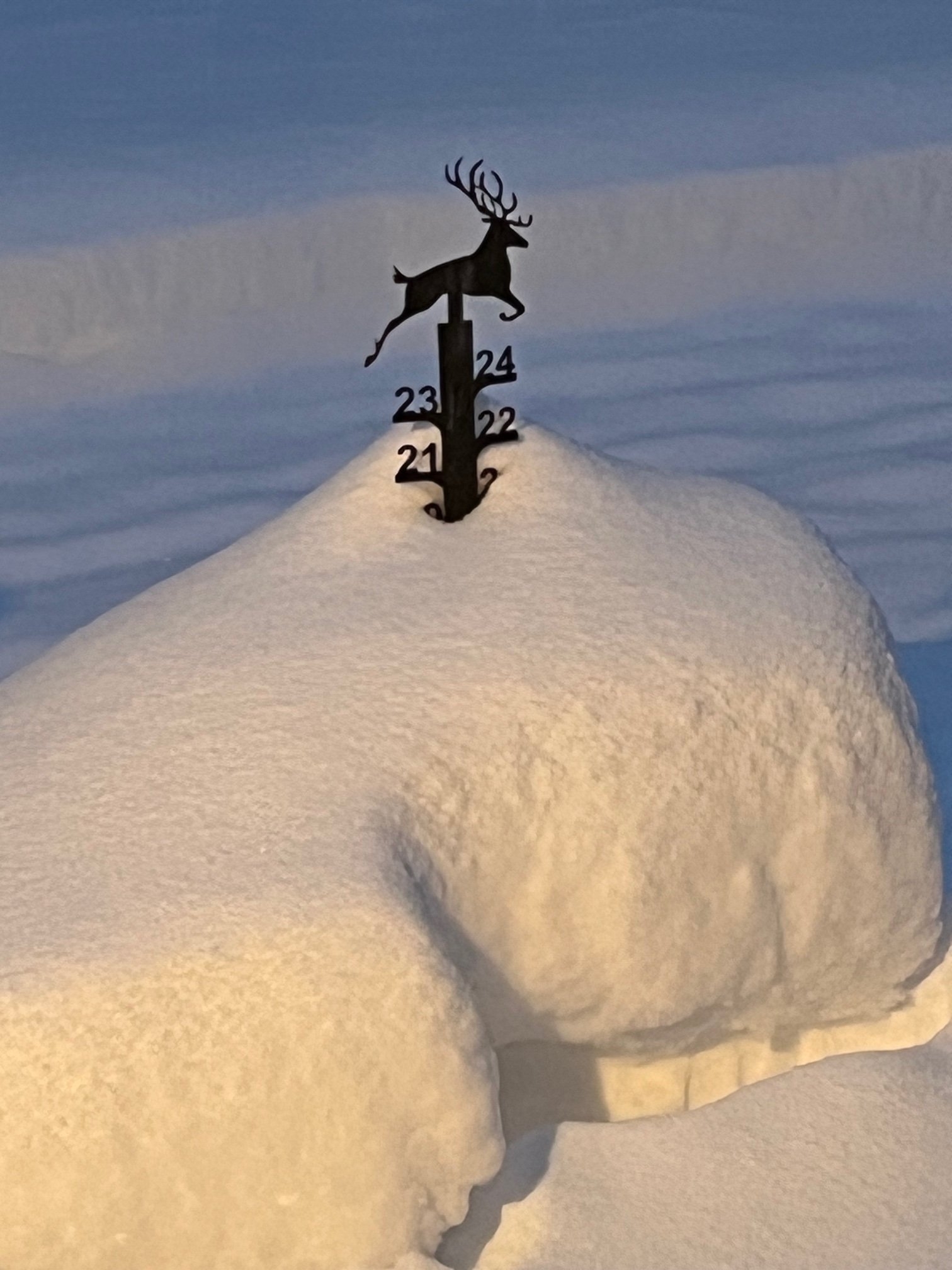 December 1 2024 snow.jpg