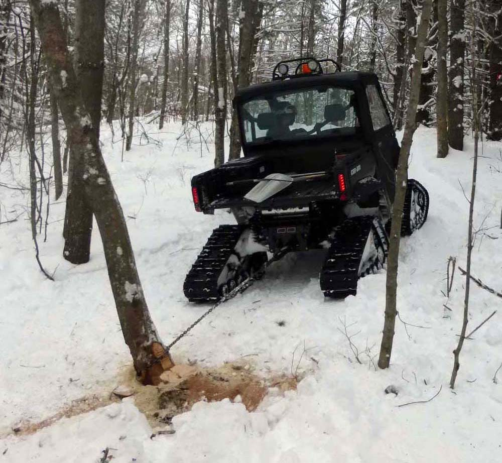 defendertree.dl.jpg