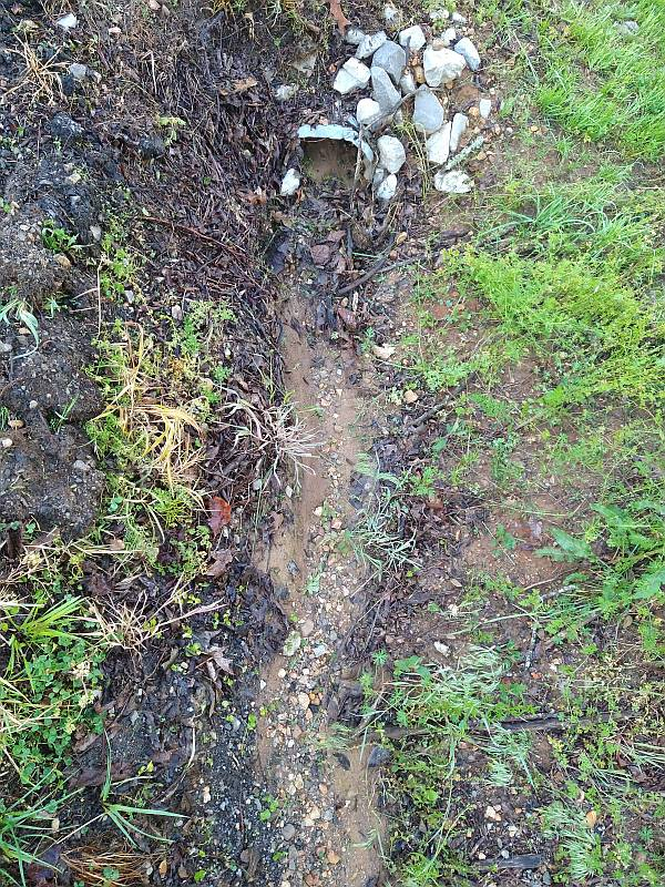 Ditch3.jpg