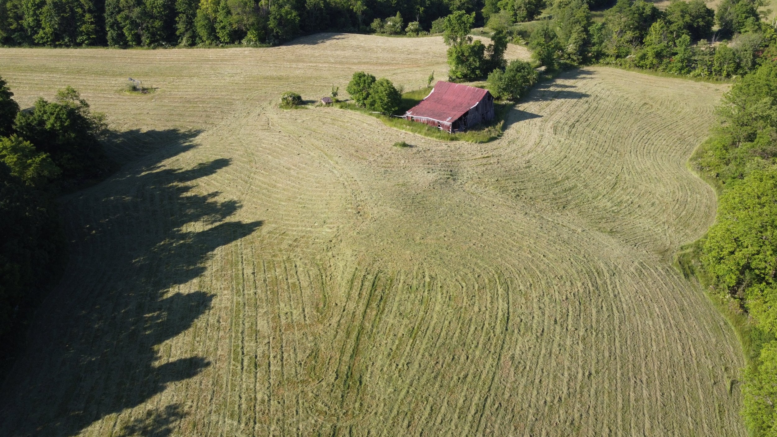 DJI_0425.JPG