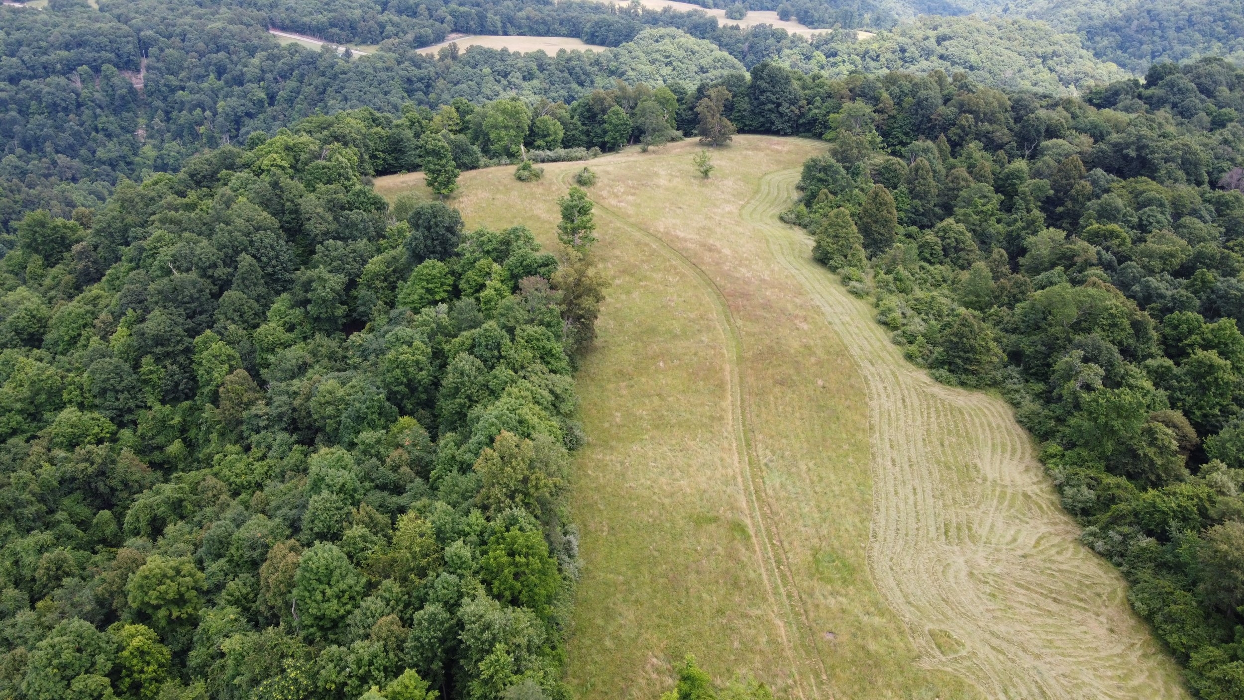 DJI_0564.JPG