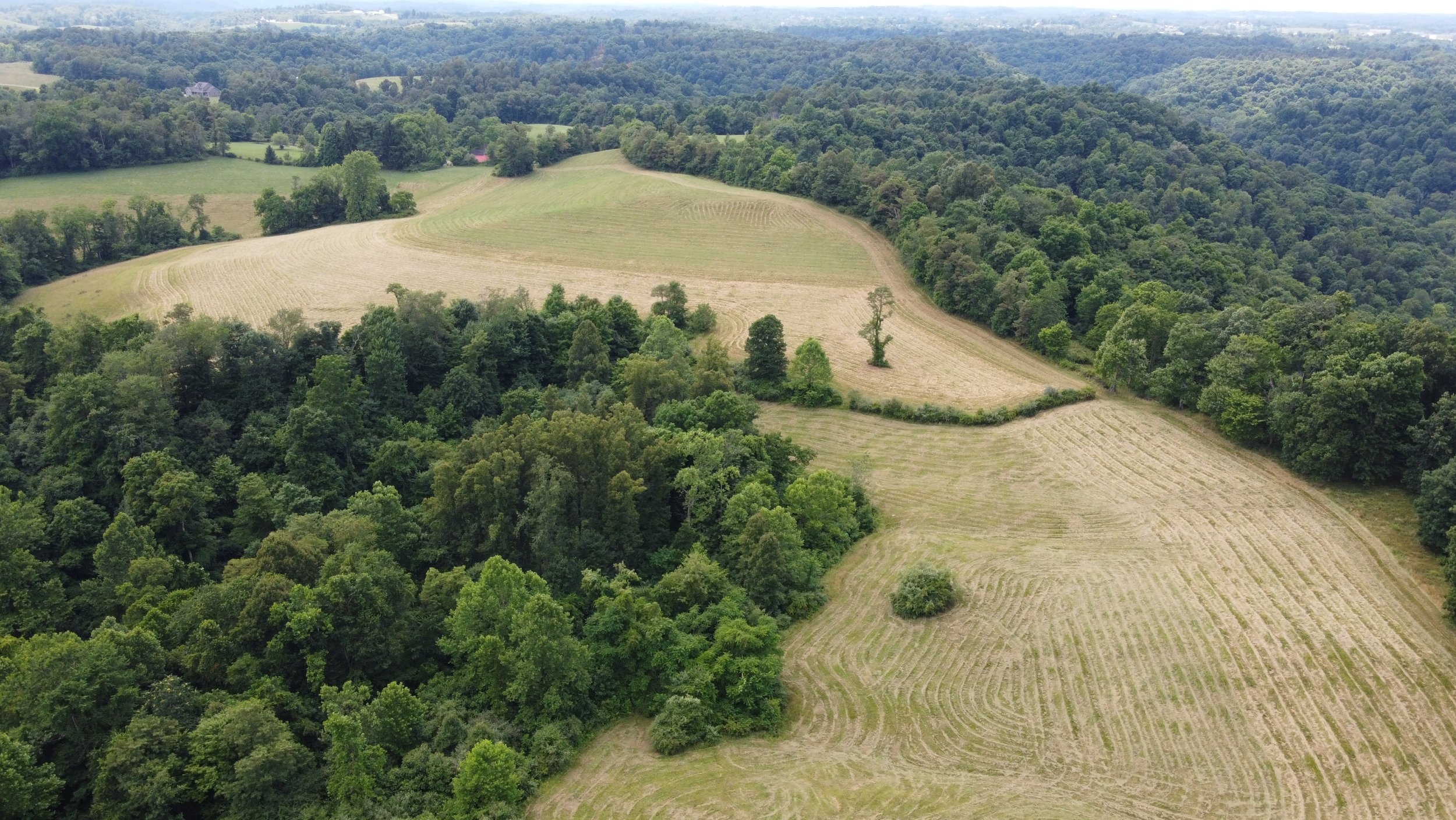 DJI_0567.JPG