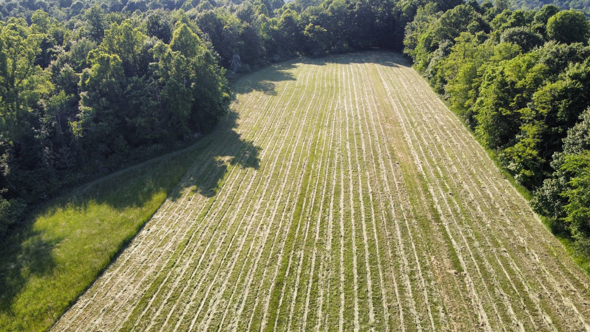 dji_fly_20230531_181508_416_1685571625320_photo_optimized.JPG