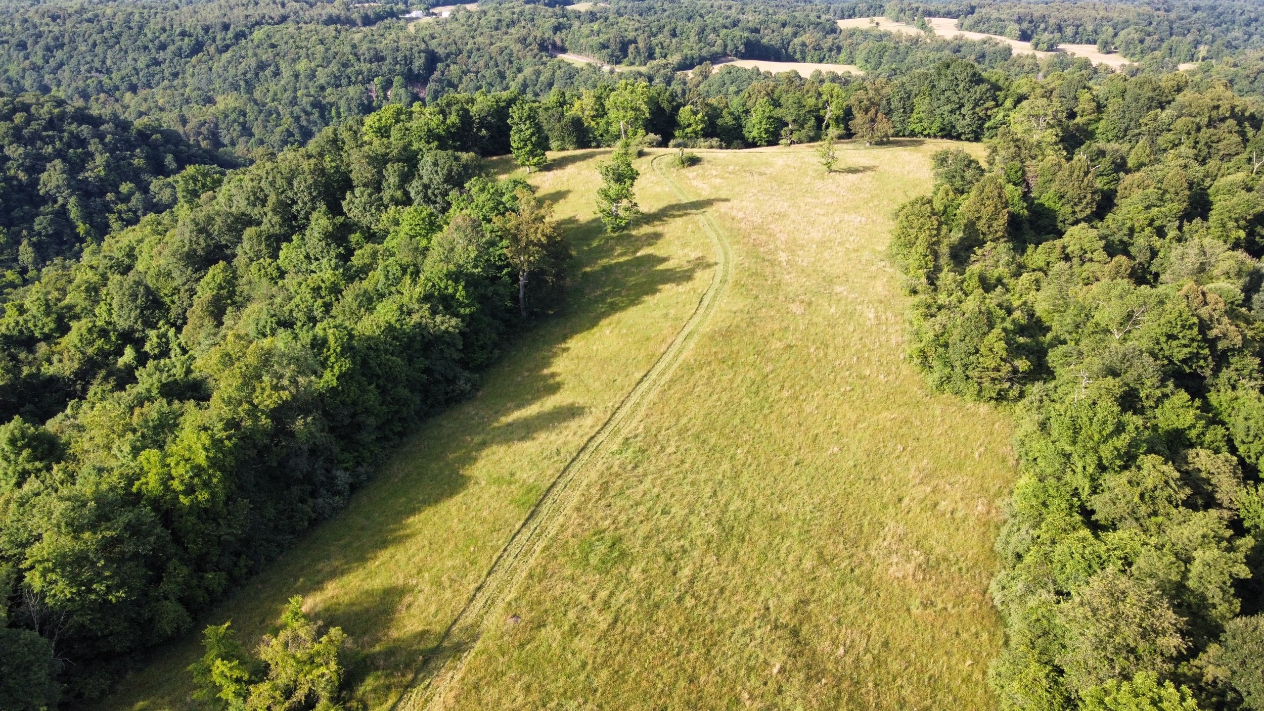 dji_fly_20240615_183154_529_1718491247775_photo_optimized.jpeg