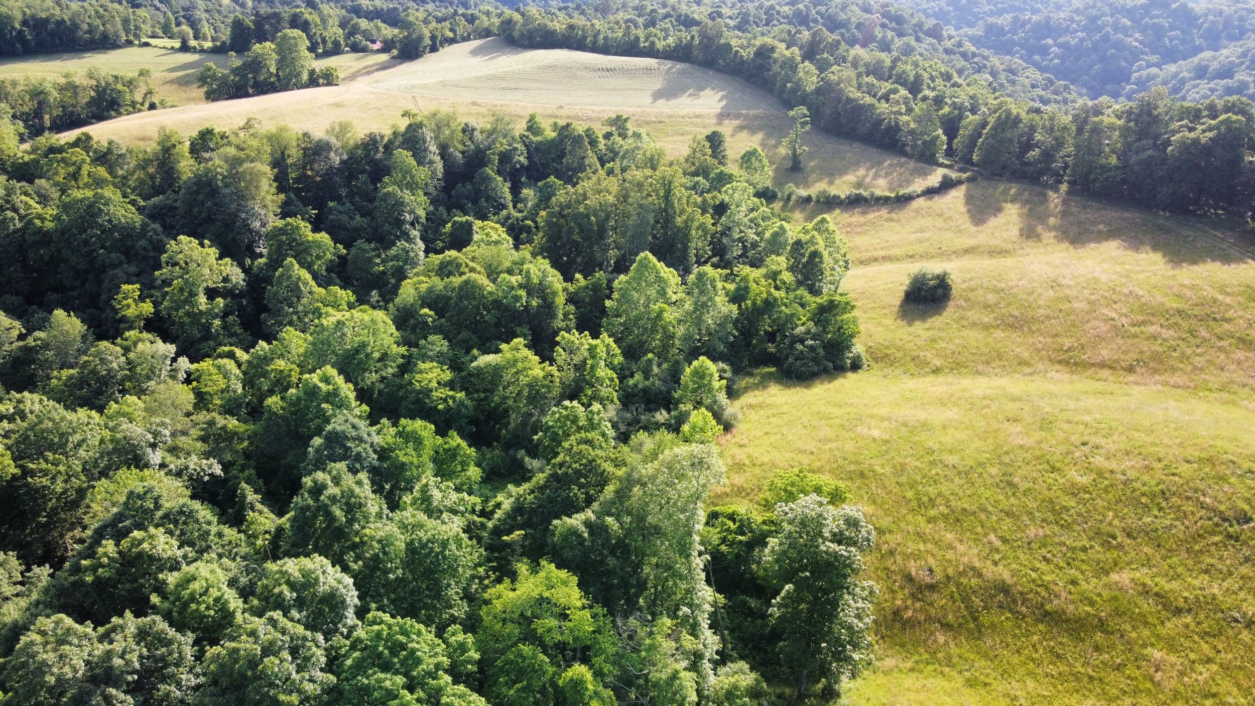 dji_fly_20240615_183200_530_1718491277637_photo_optimized.jpeg