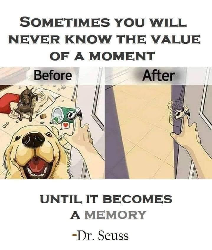 dog memories.jpg