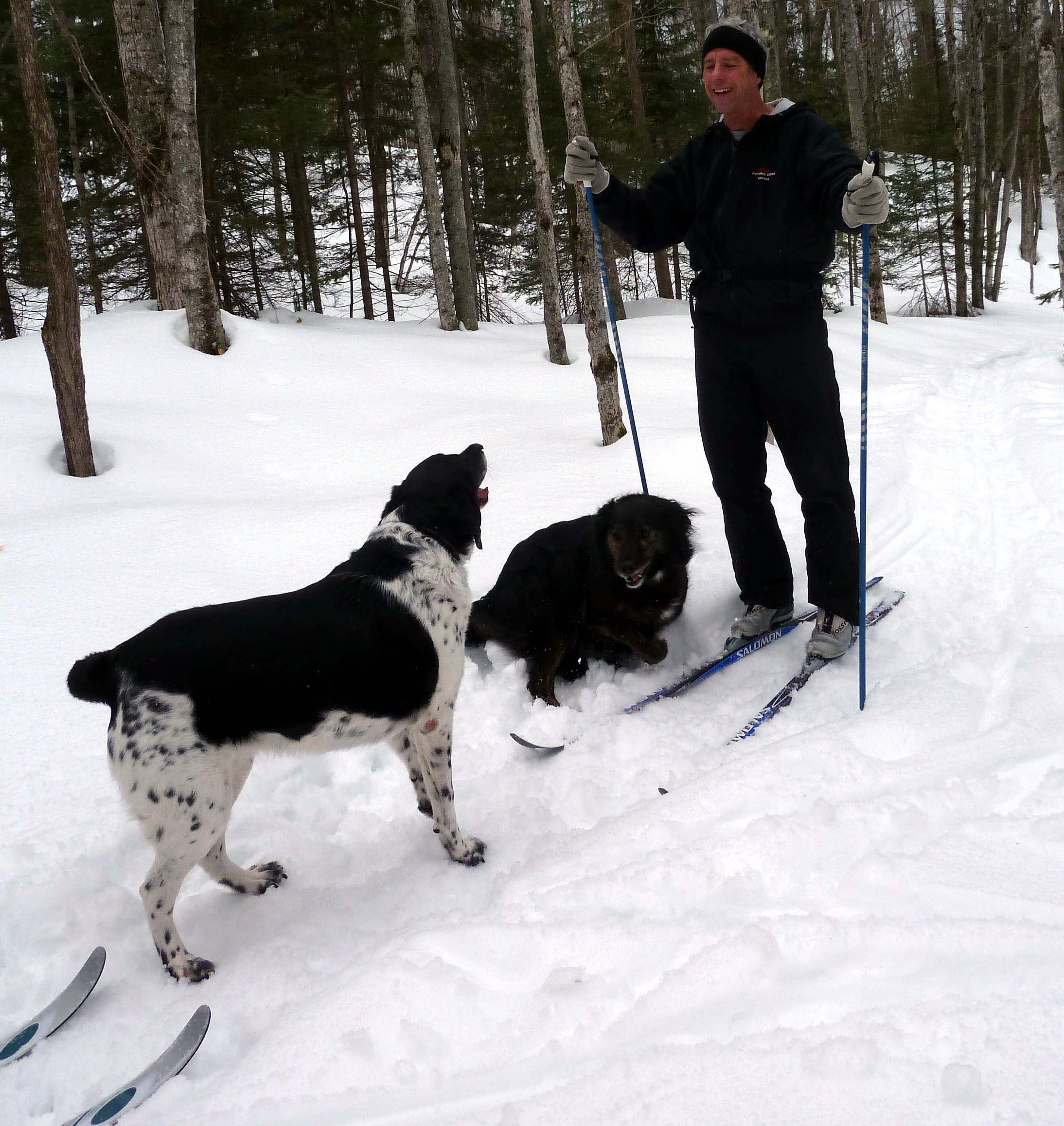 Dogs in snow (DL).jpg