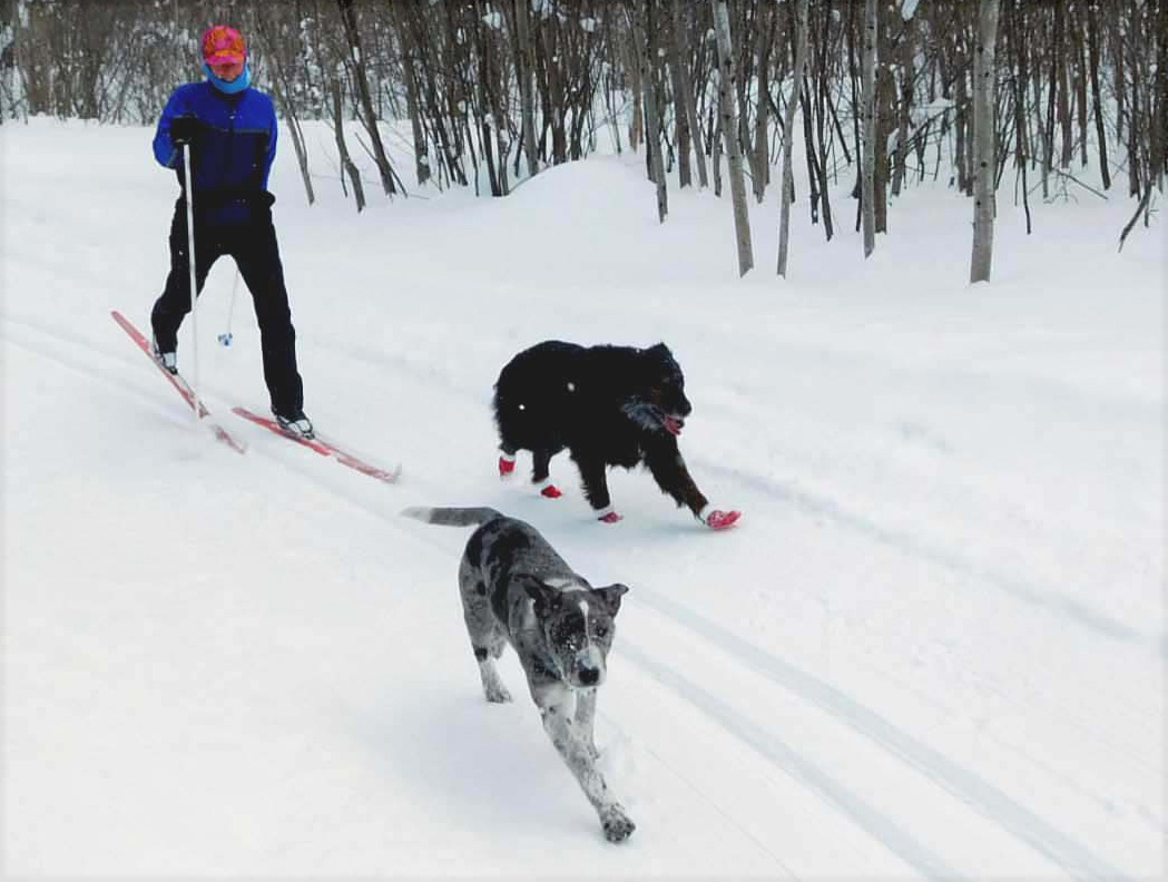 dogs river trail sandy Cropped.jpg