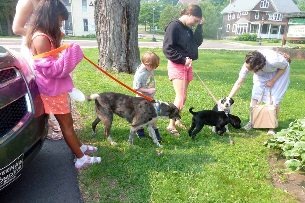 dogschurch0316.jpg