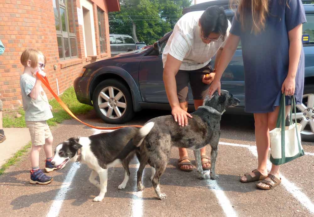 dogschurch321.jpg
