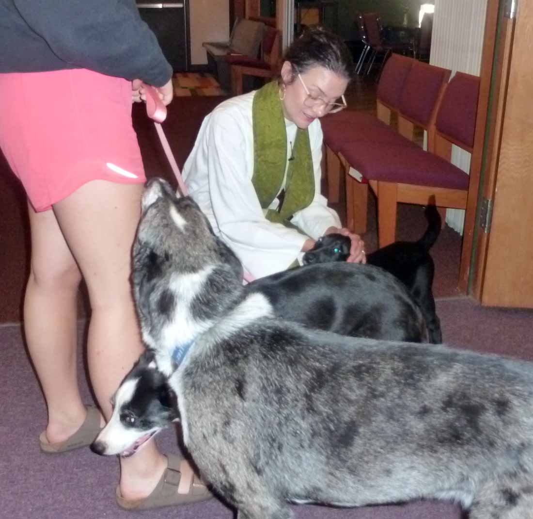 dogschurch322.jpg