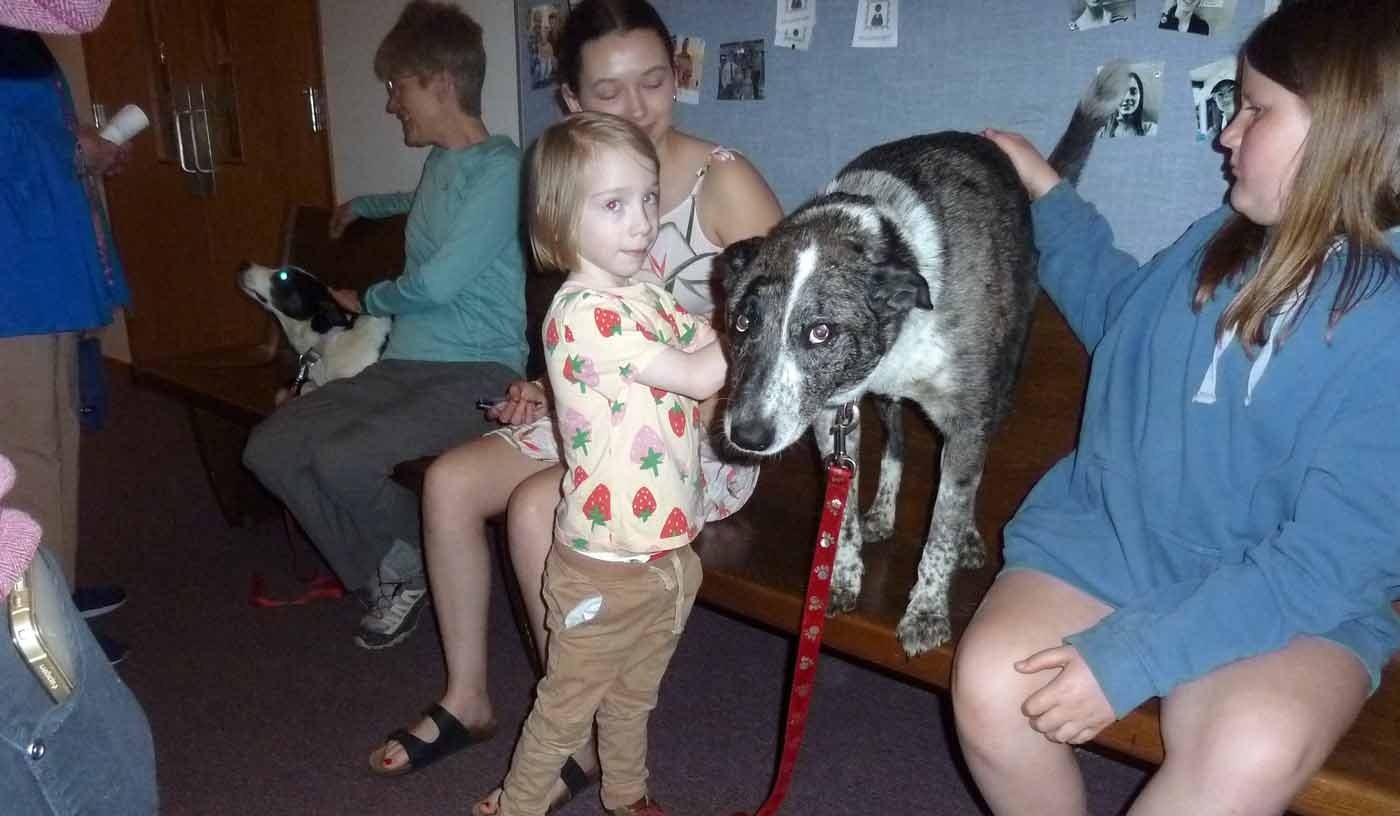 dogsgsc0882.jpg