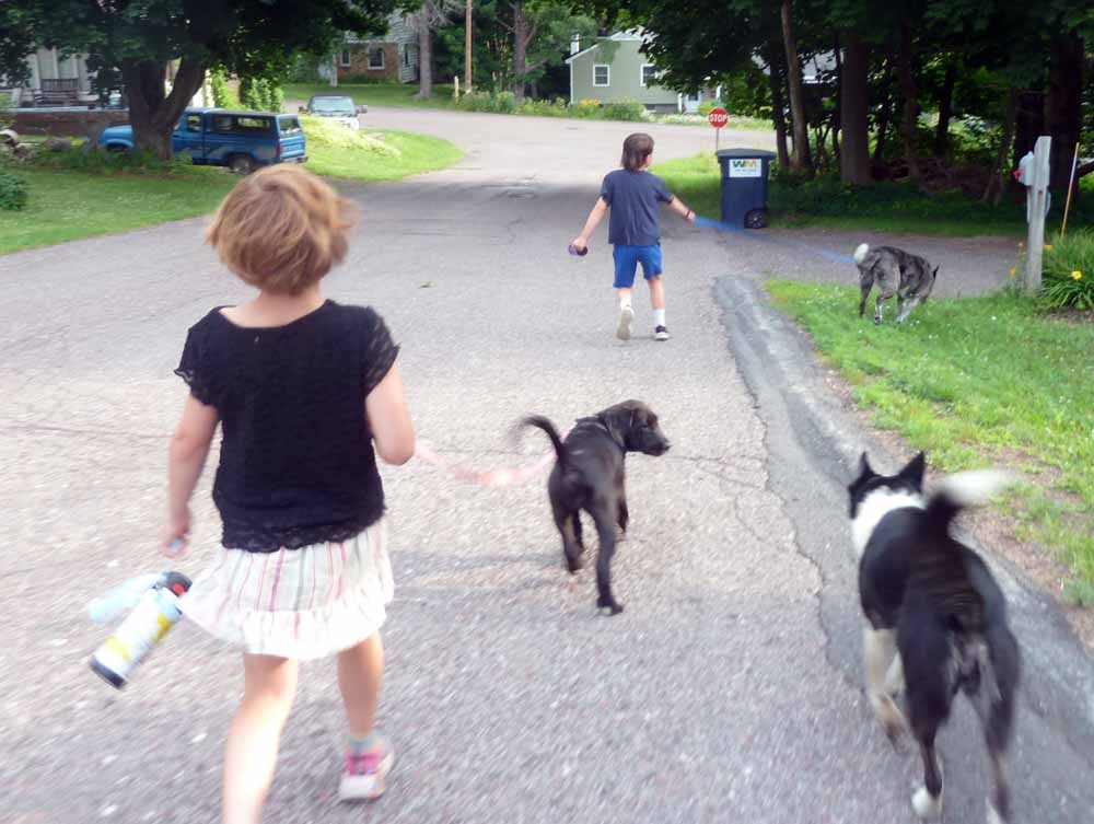 dogskids0447.jpg