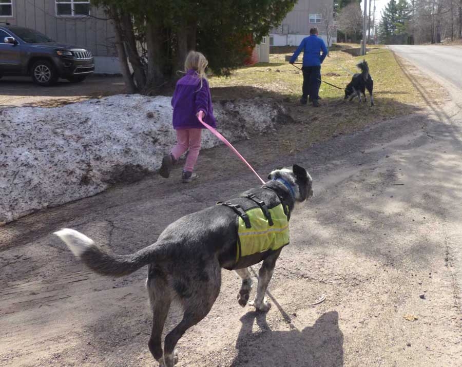dogskids613.jpg