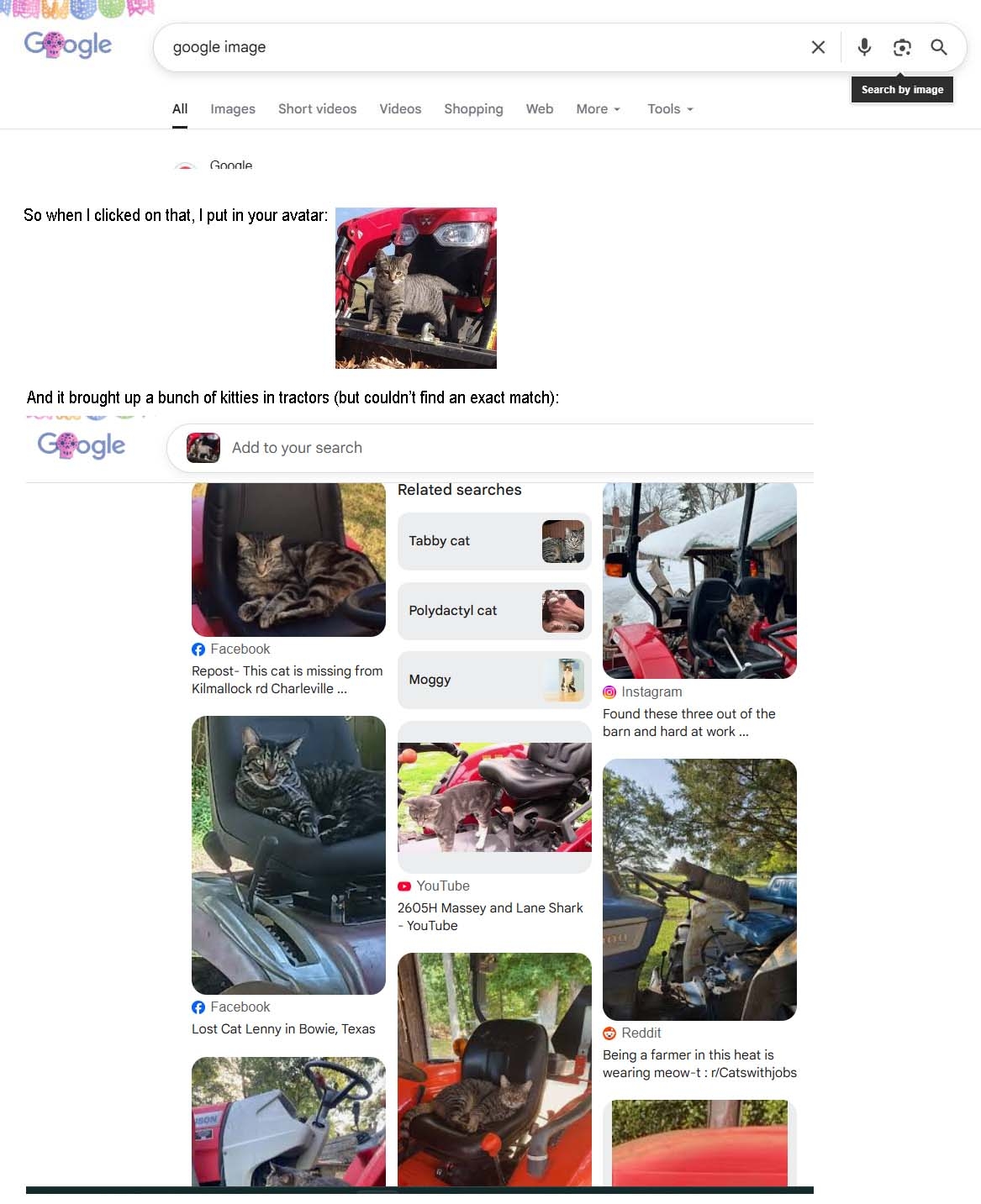 Doing an image search.jpg