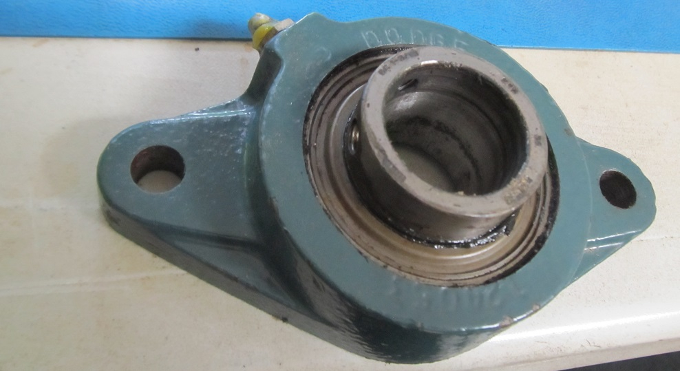 DrBearing.jpg
