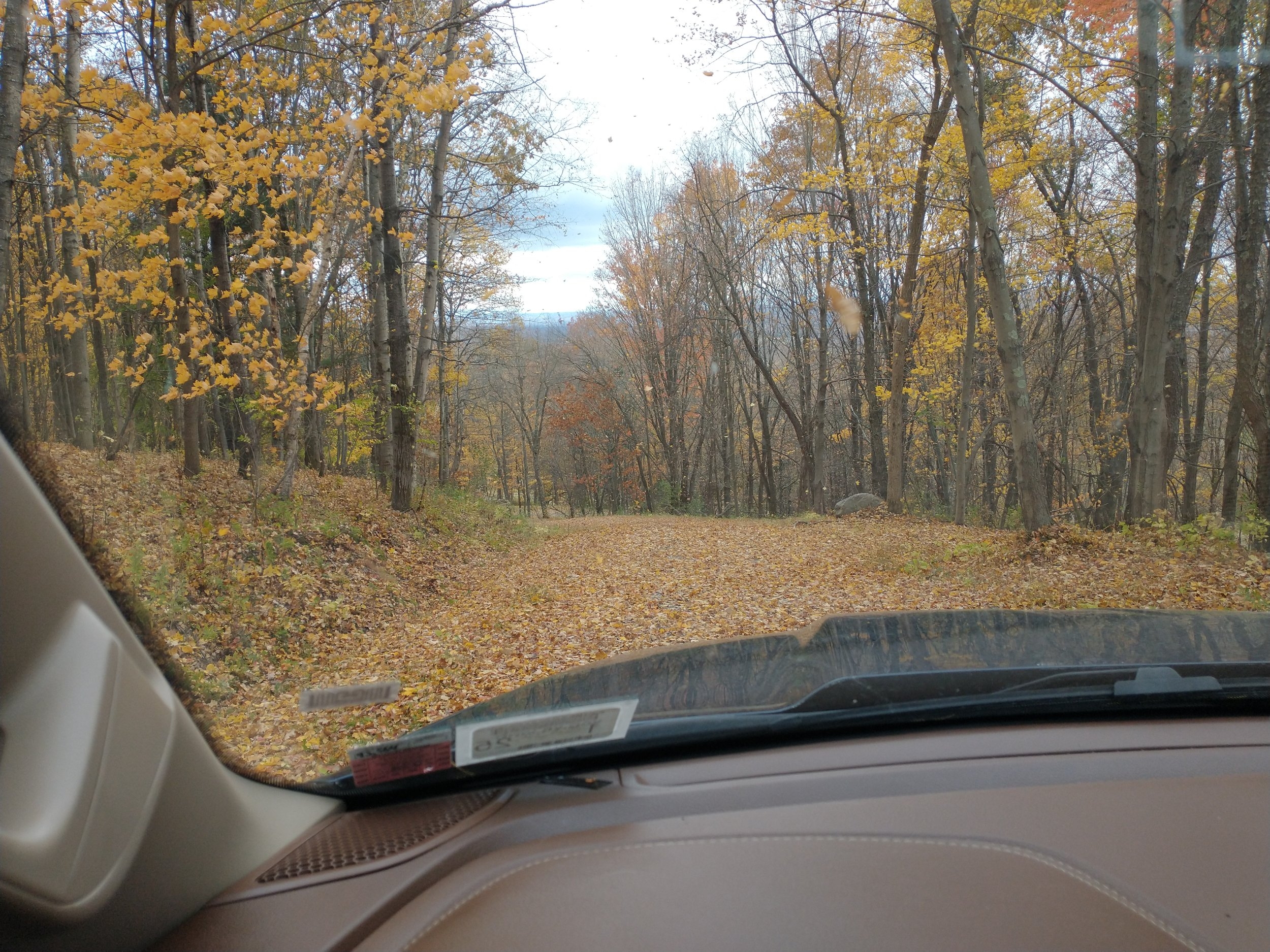 driveway 2.jpg