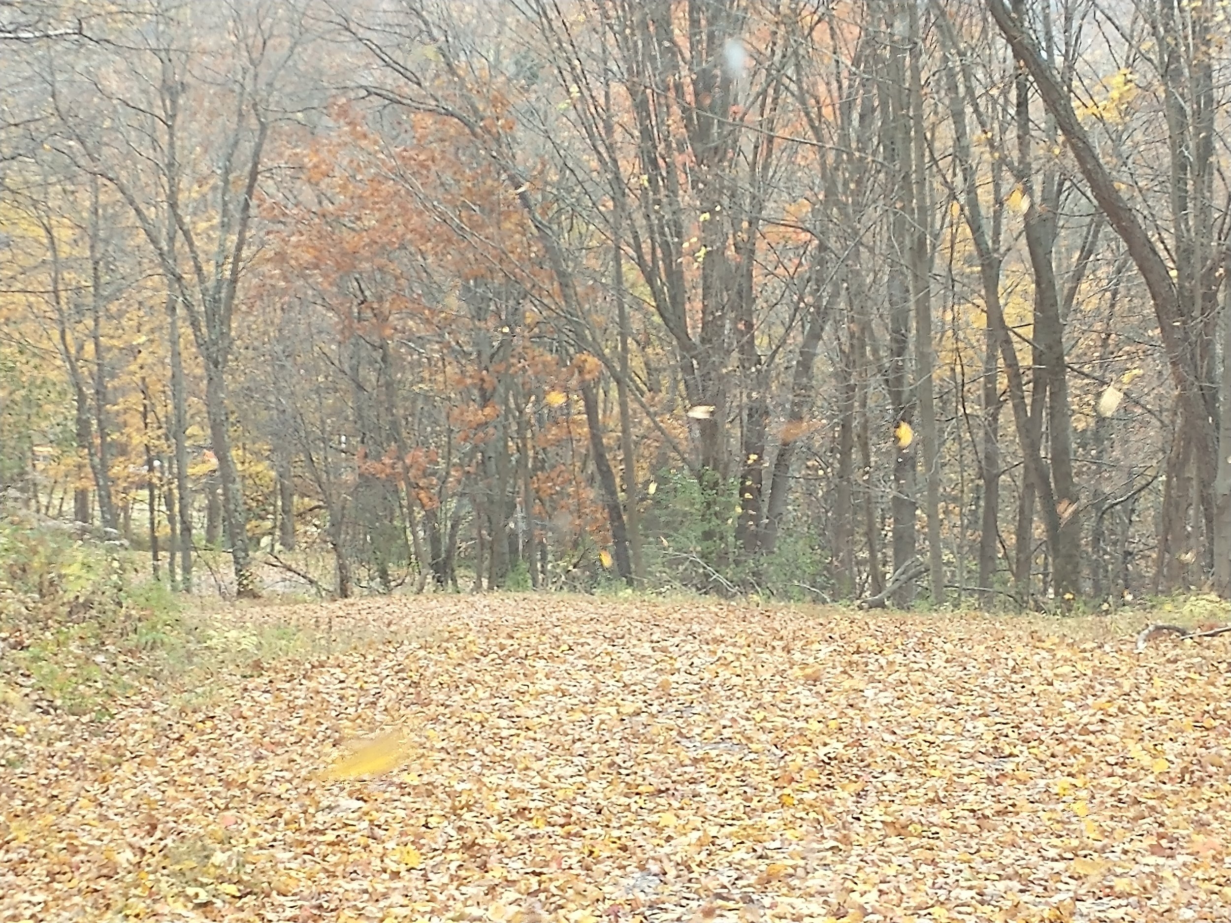 driveway 6.jpg
