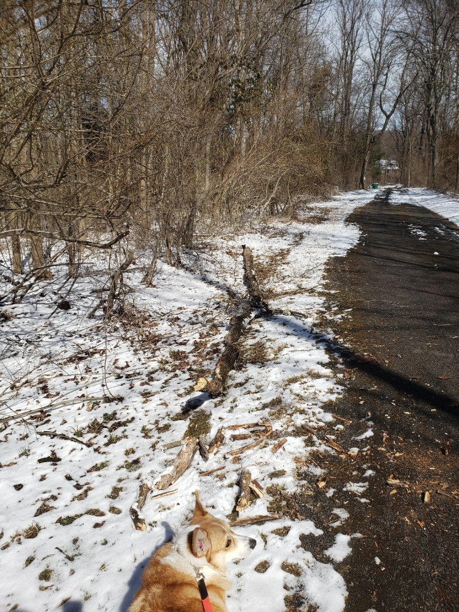 driveway stick20220313_131507.jpg