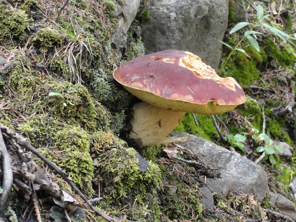 DSC01059.JPG