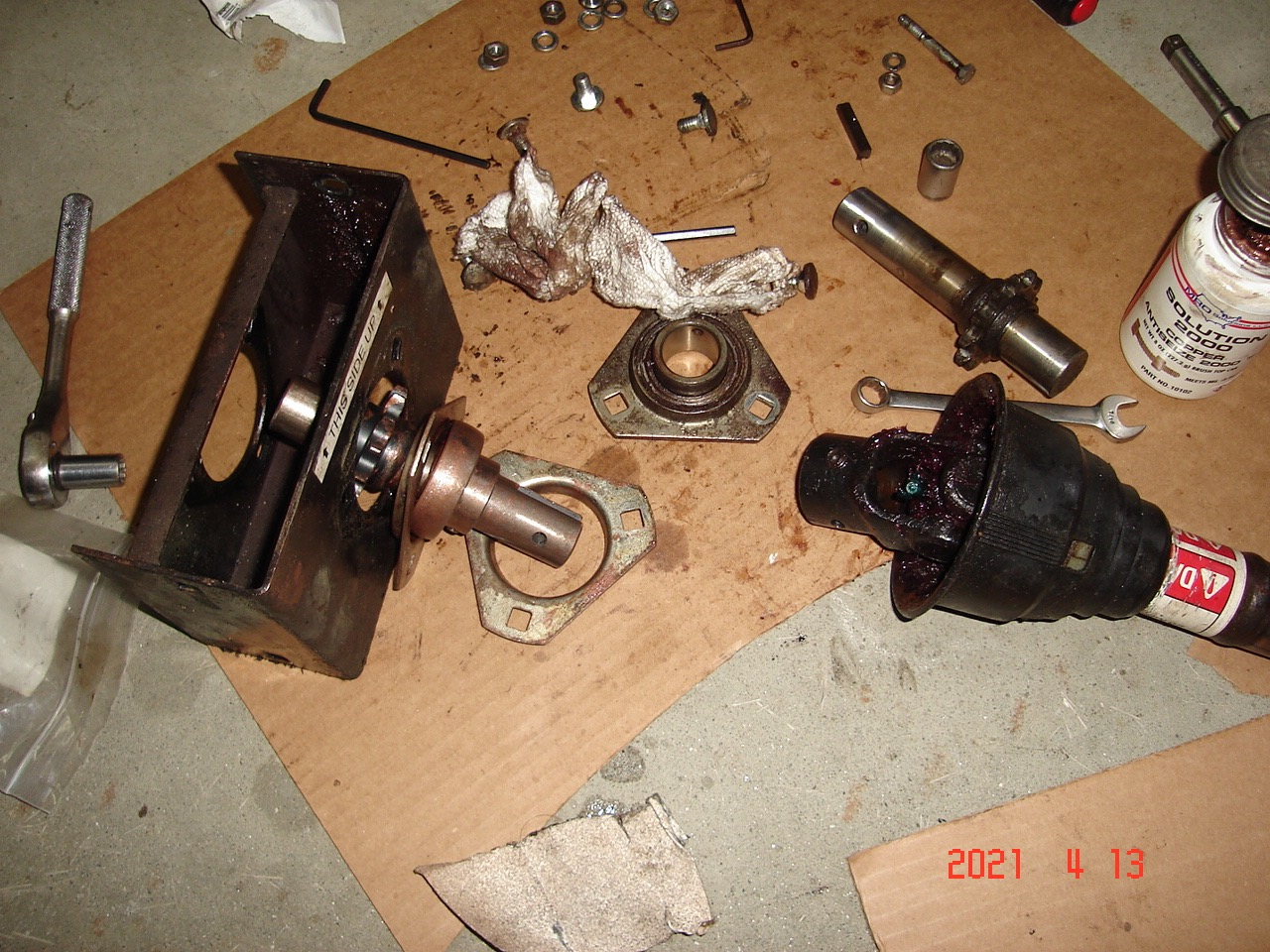 DSC09665.jpg