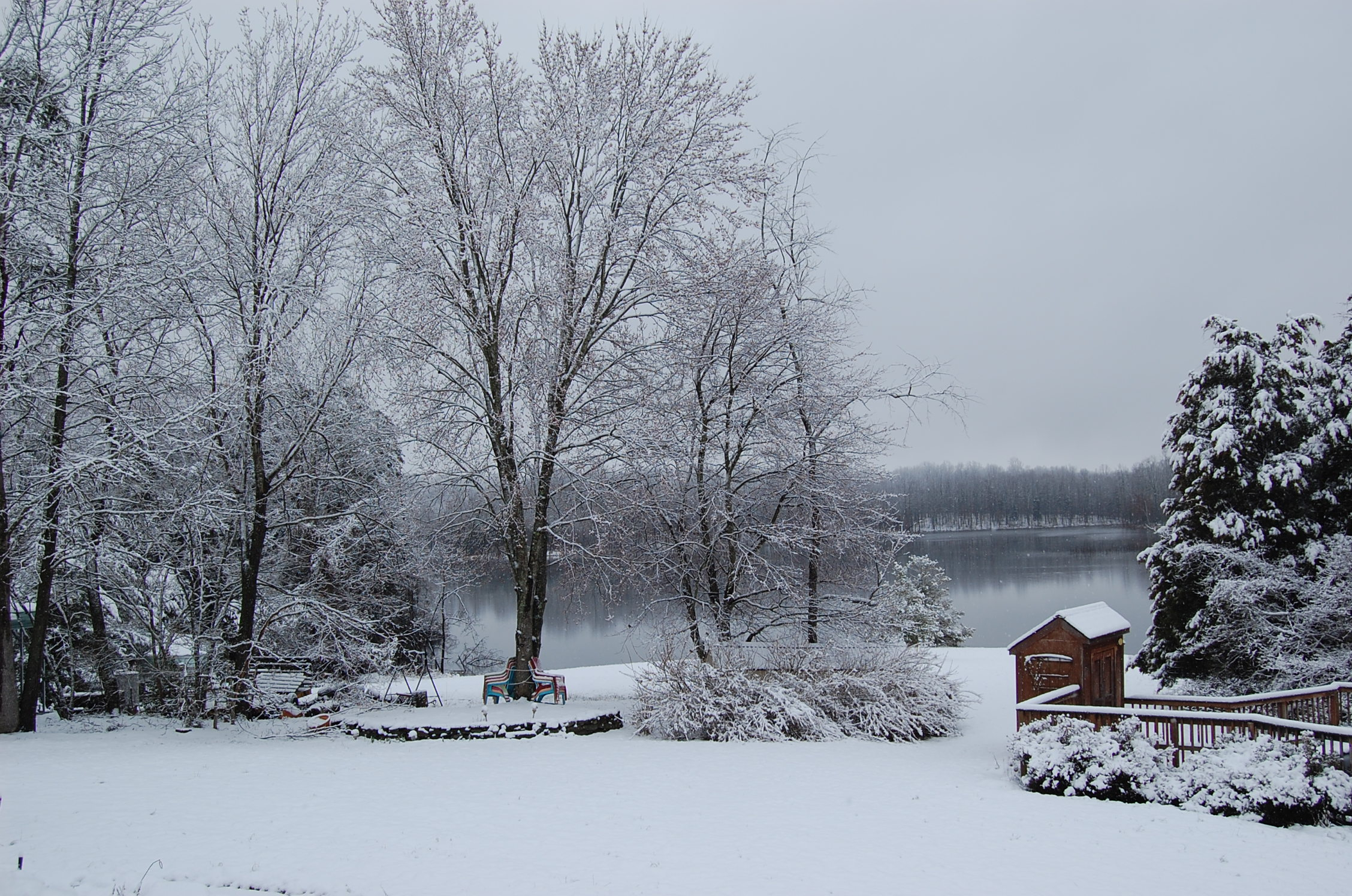 DSC_0011.JPG