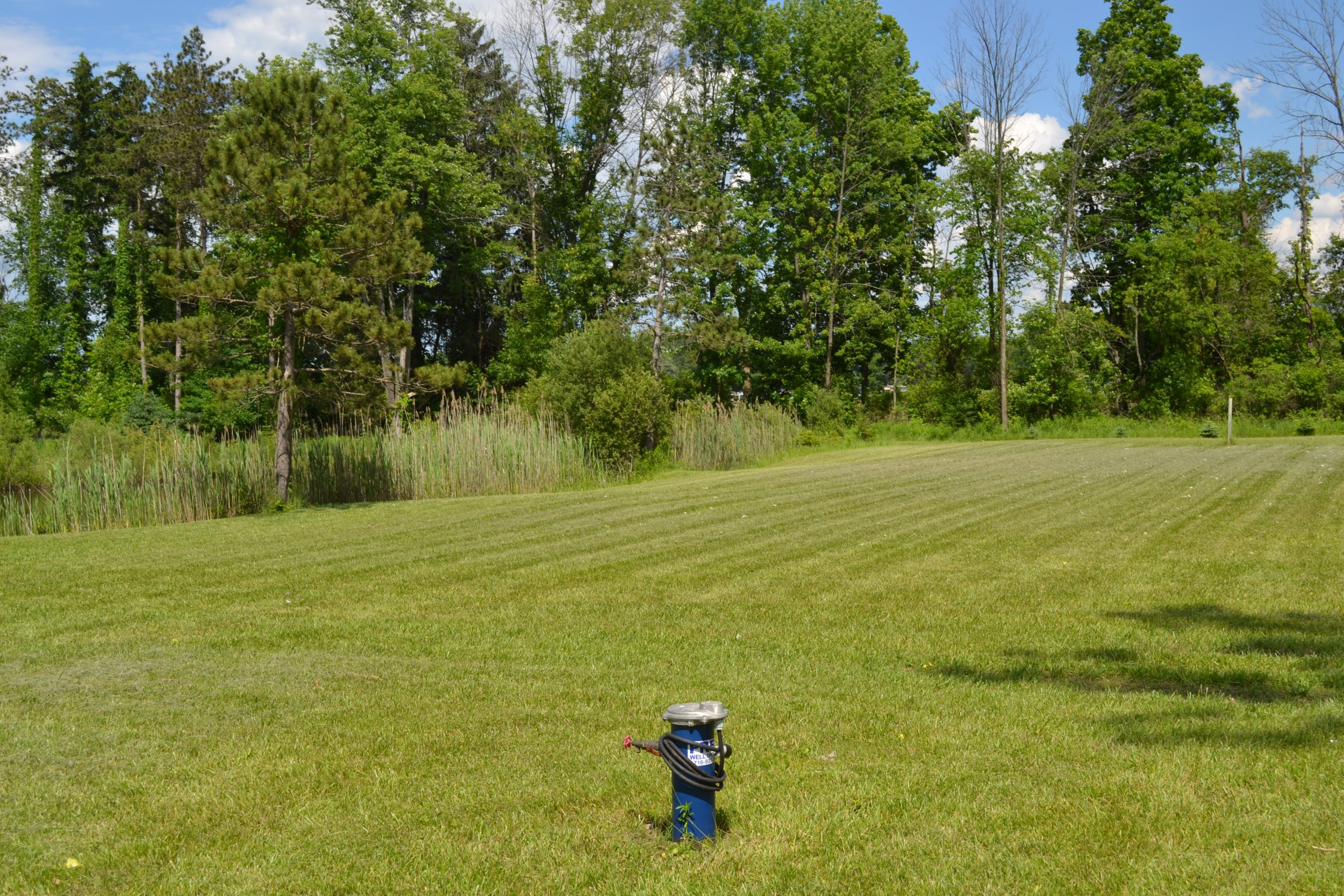DSC_0026.JPG