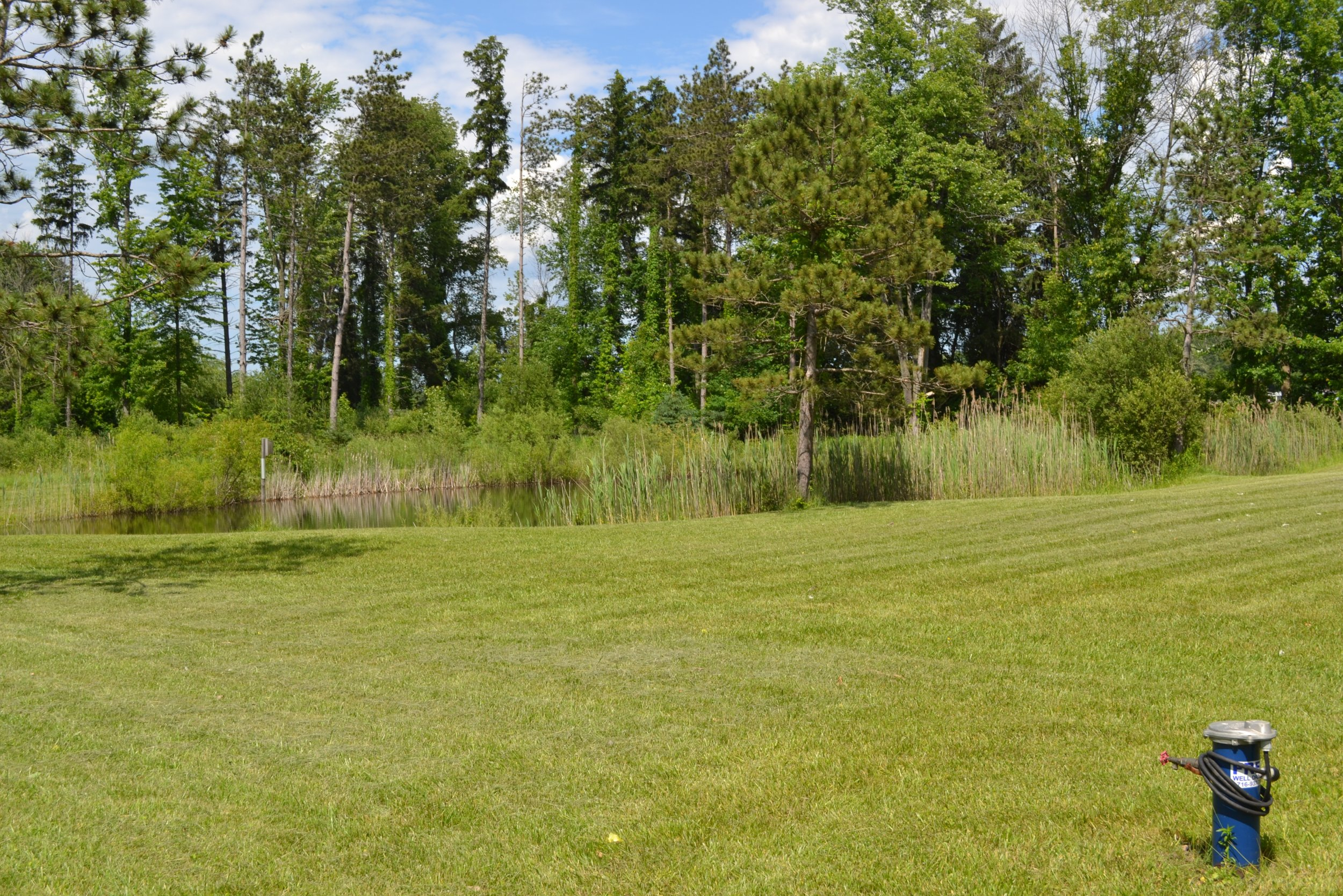 DSC_0027.JPG