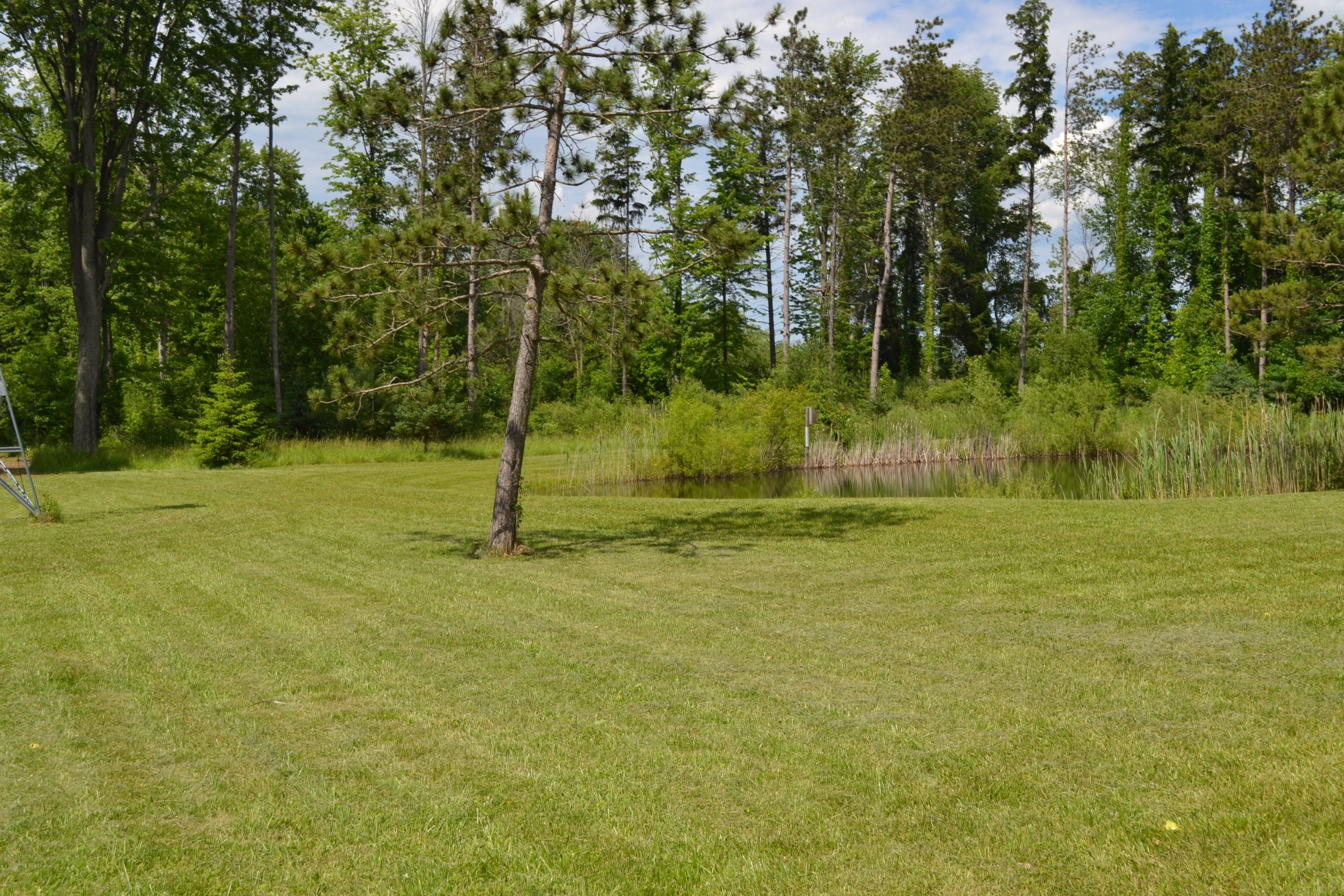 DSC_0028.JPG