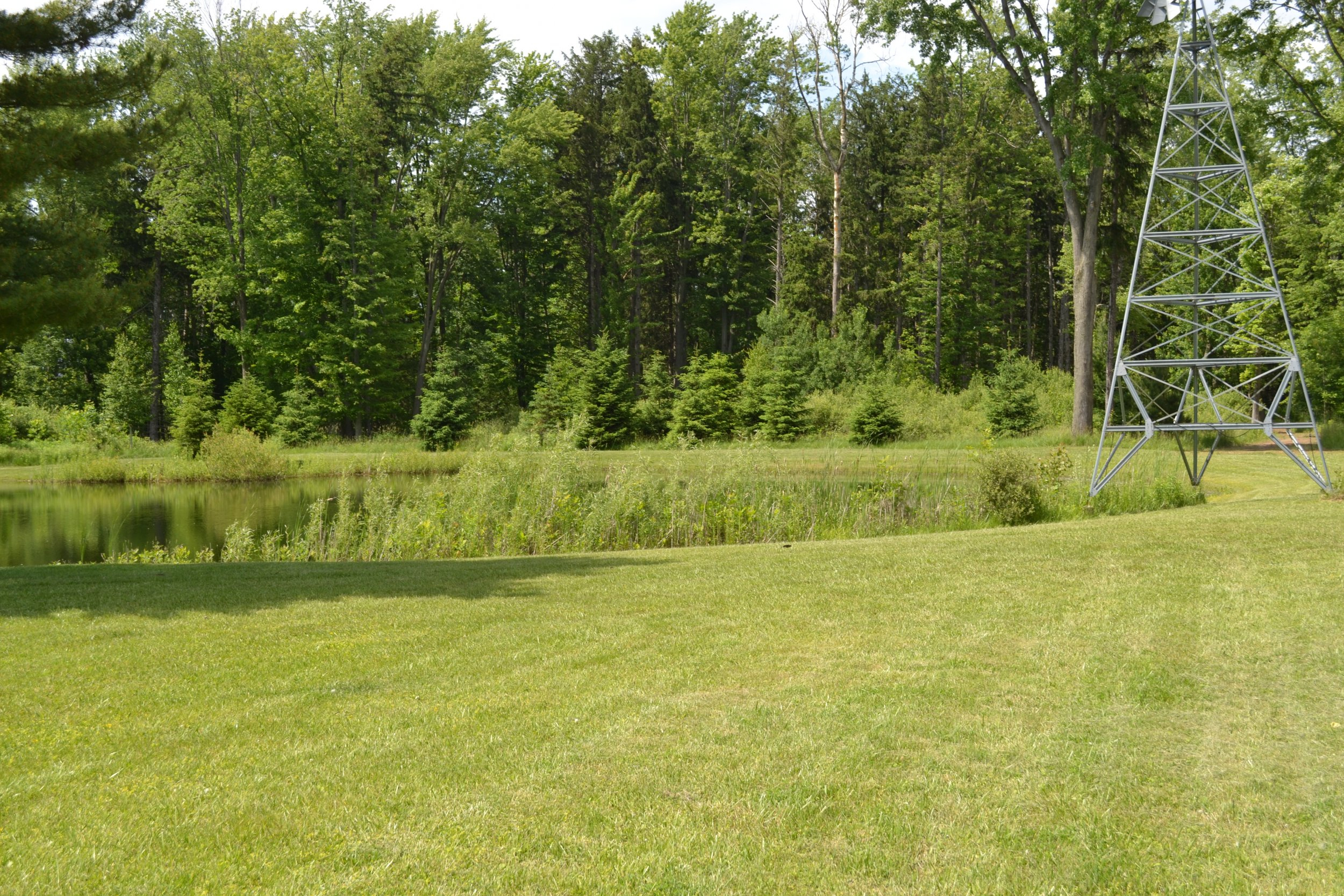 DSC_0030.JPG
