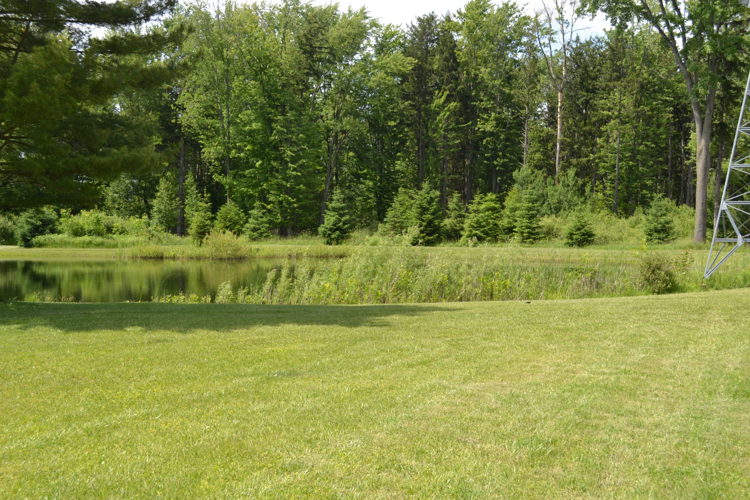 DSC_0031.JPG