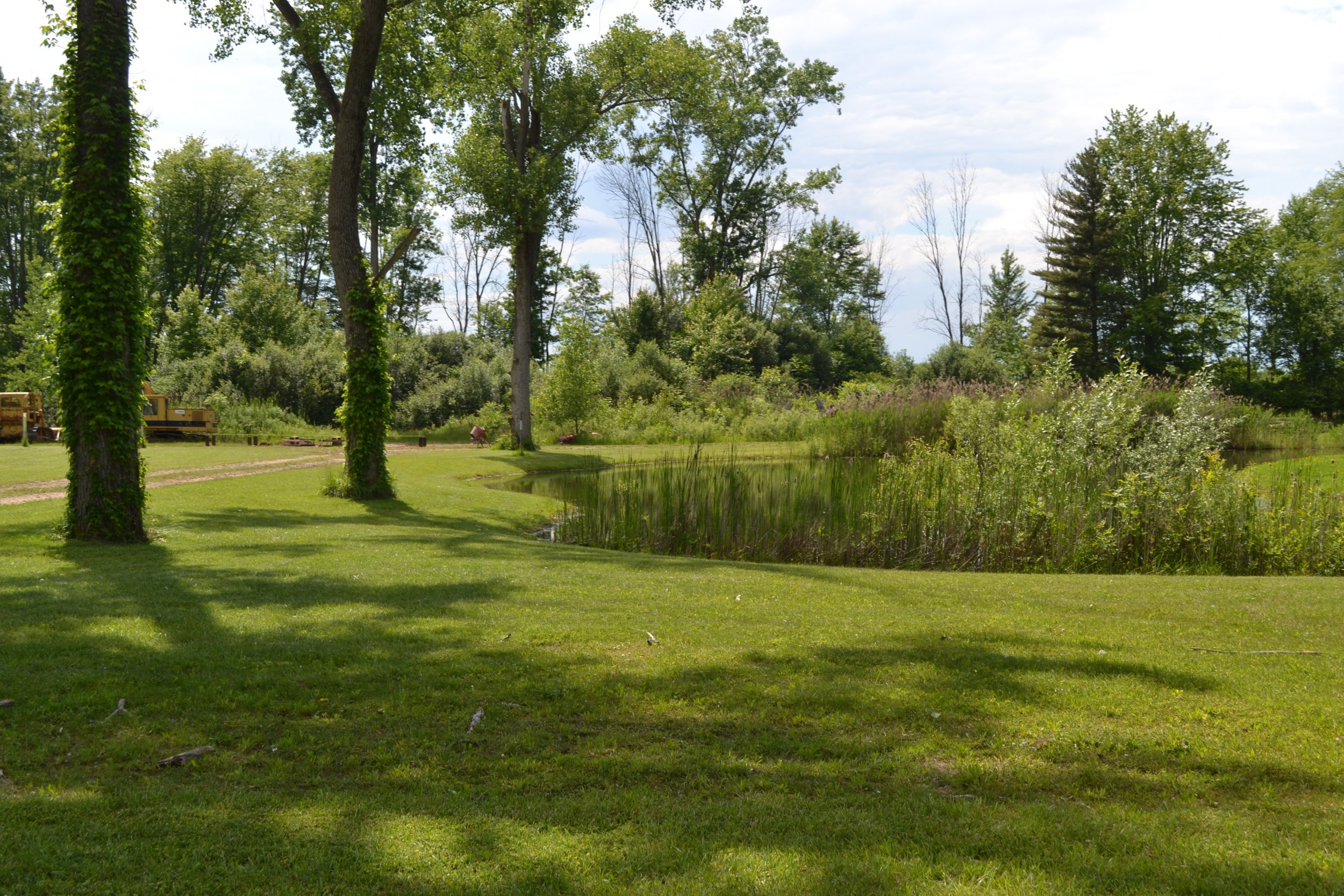 DSC_0035.JPG