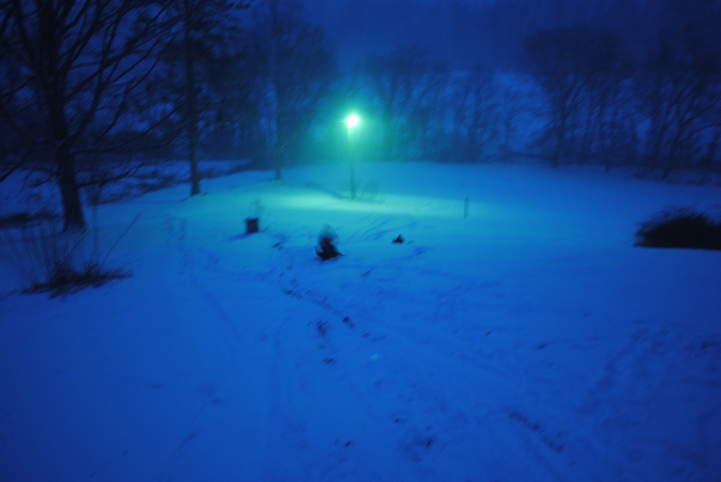 DSC_2103.jpg