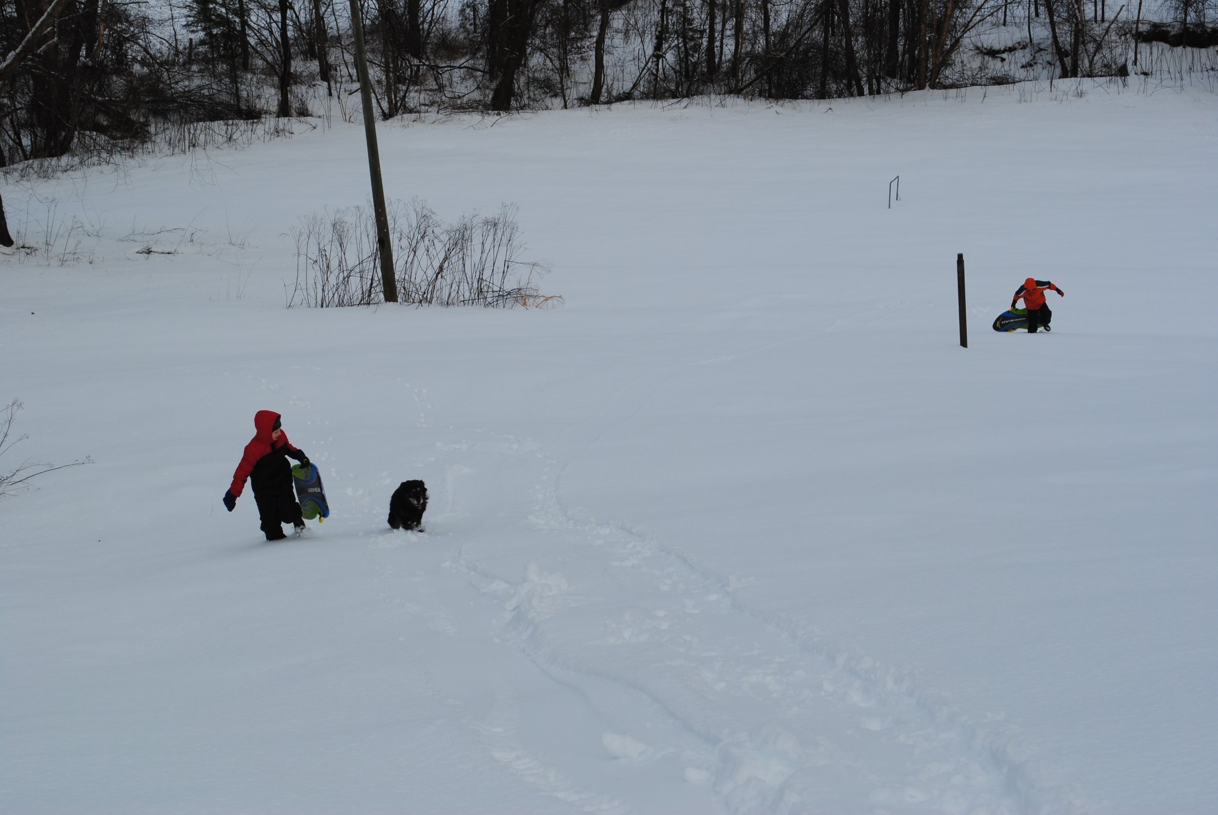 DSC_2106.jpg