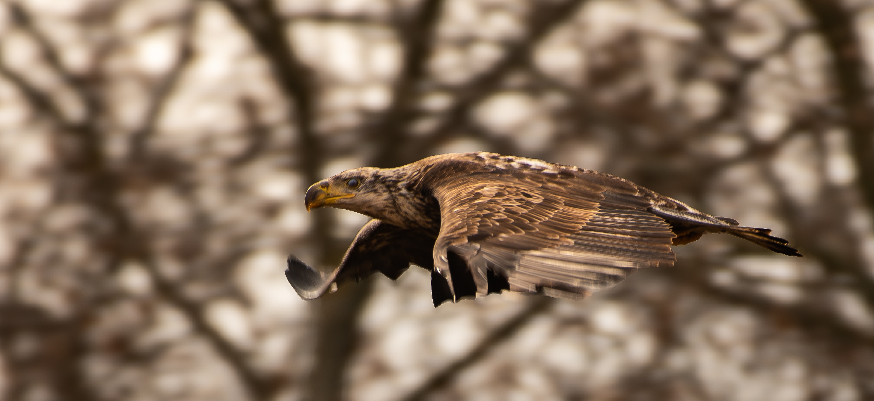 DSC_2275.jpg