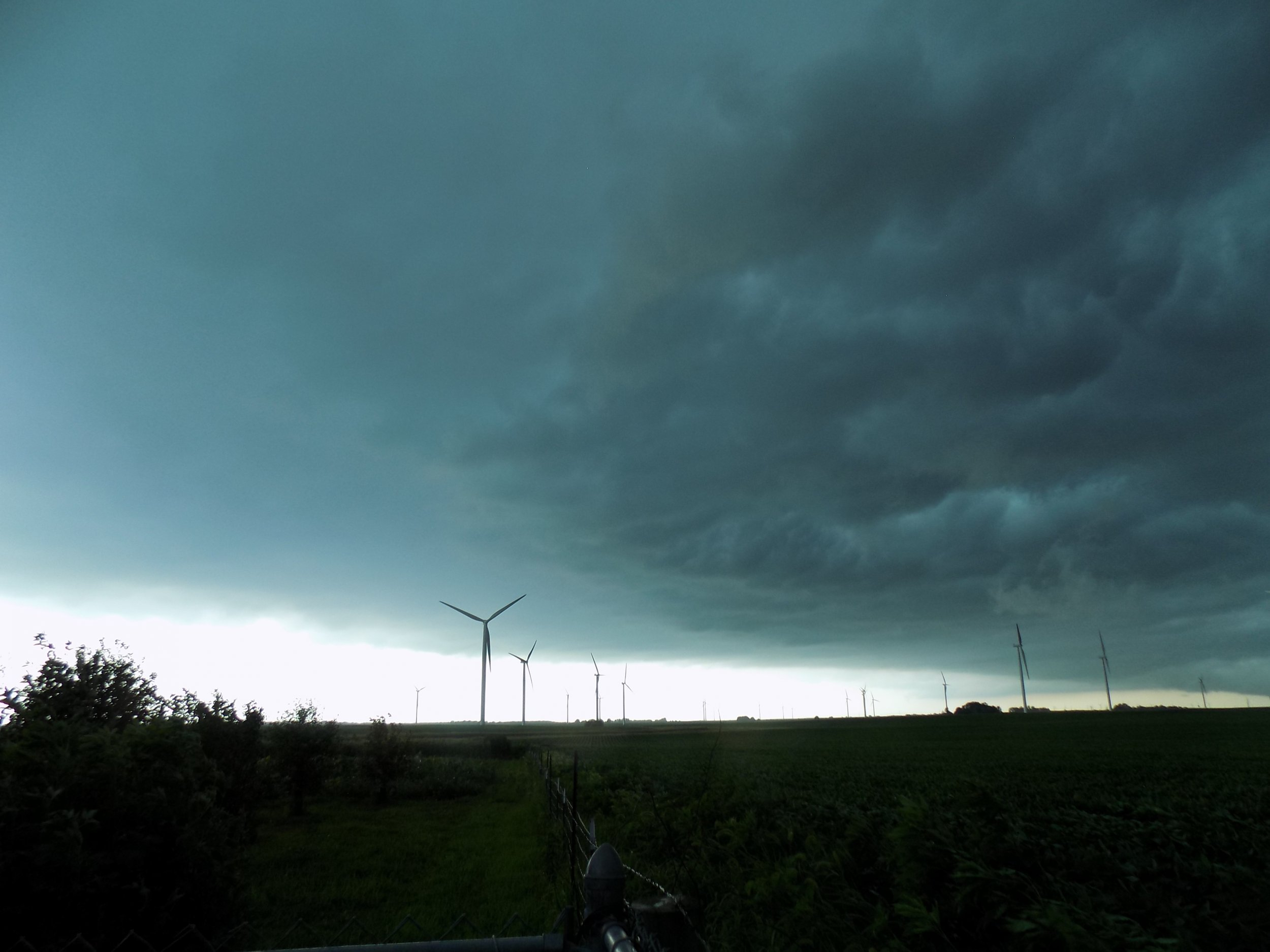 DSCN0896.JPG