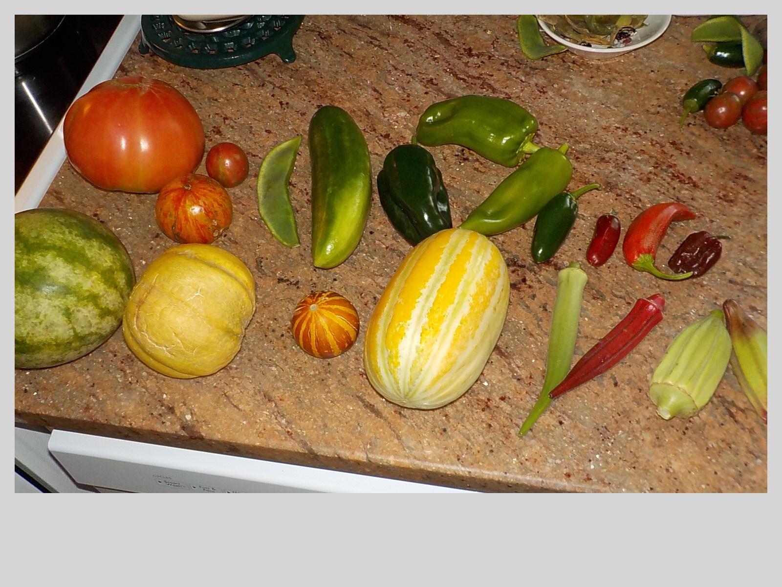DSCN1197.JPG