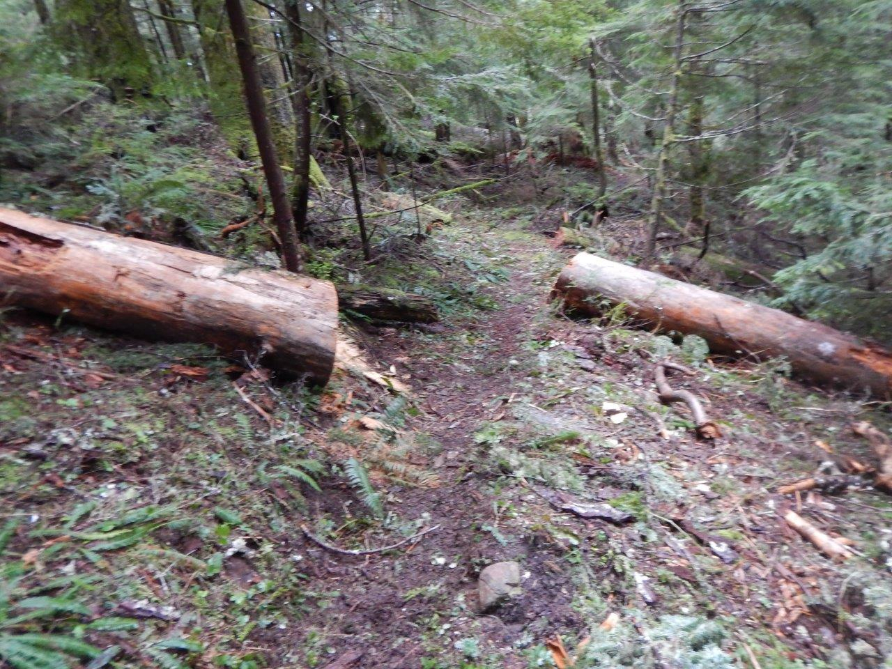 DSCN1621.jpg