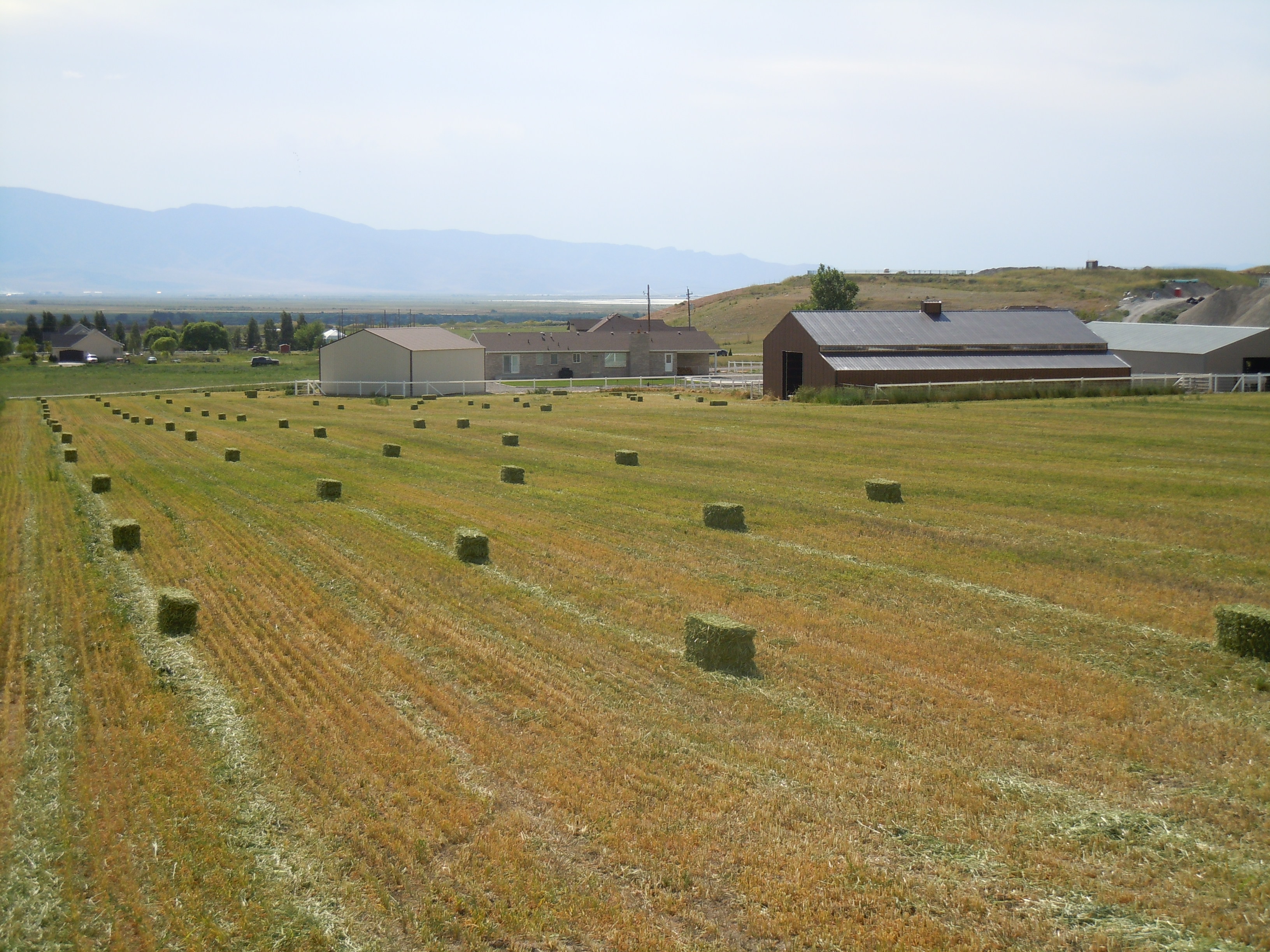 DSCN2574.JPG