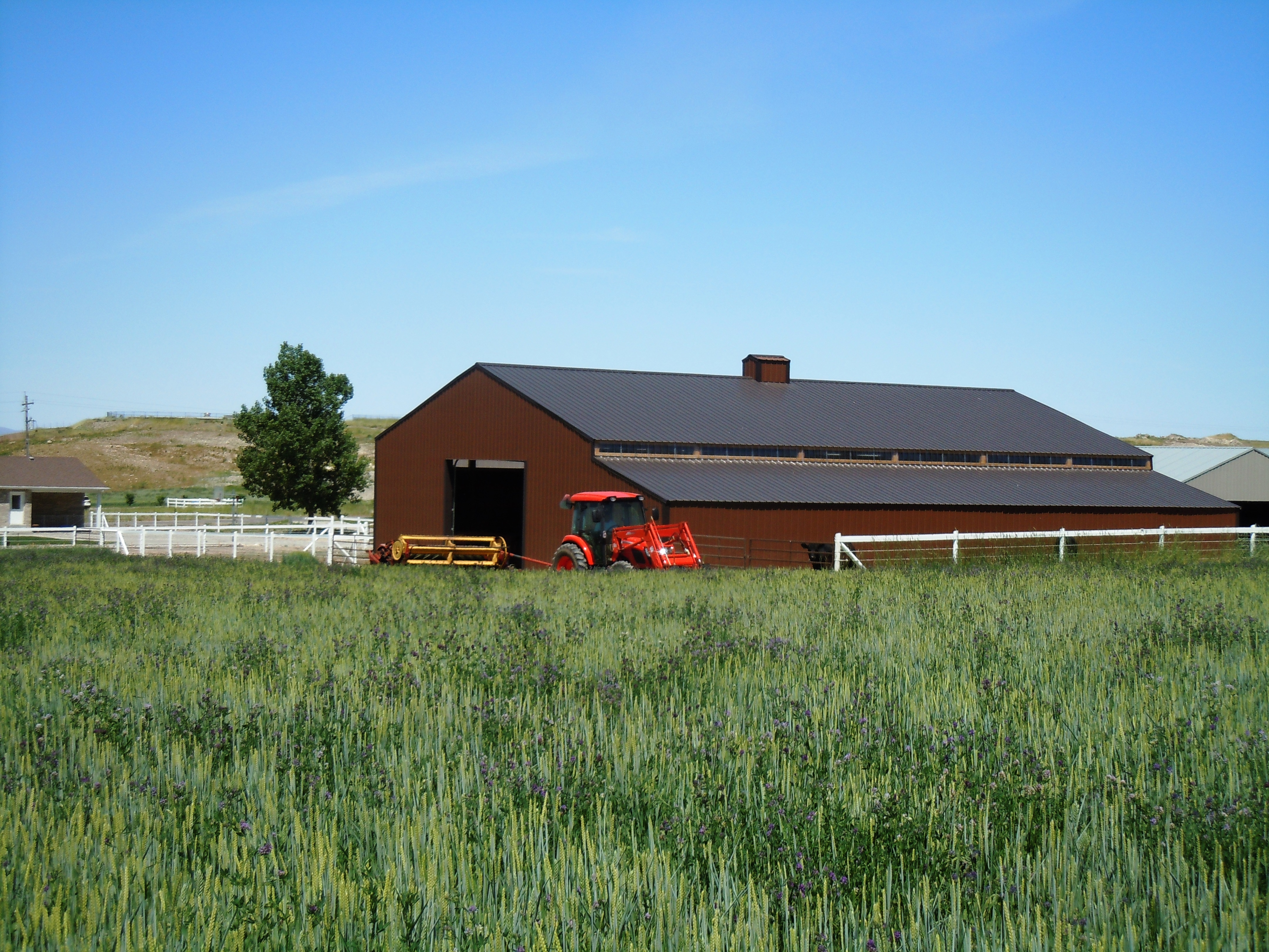 DSCN2932.JPG