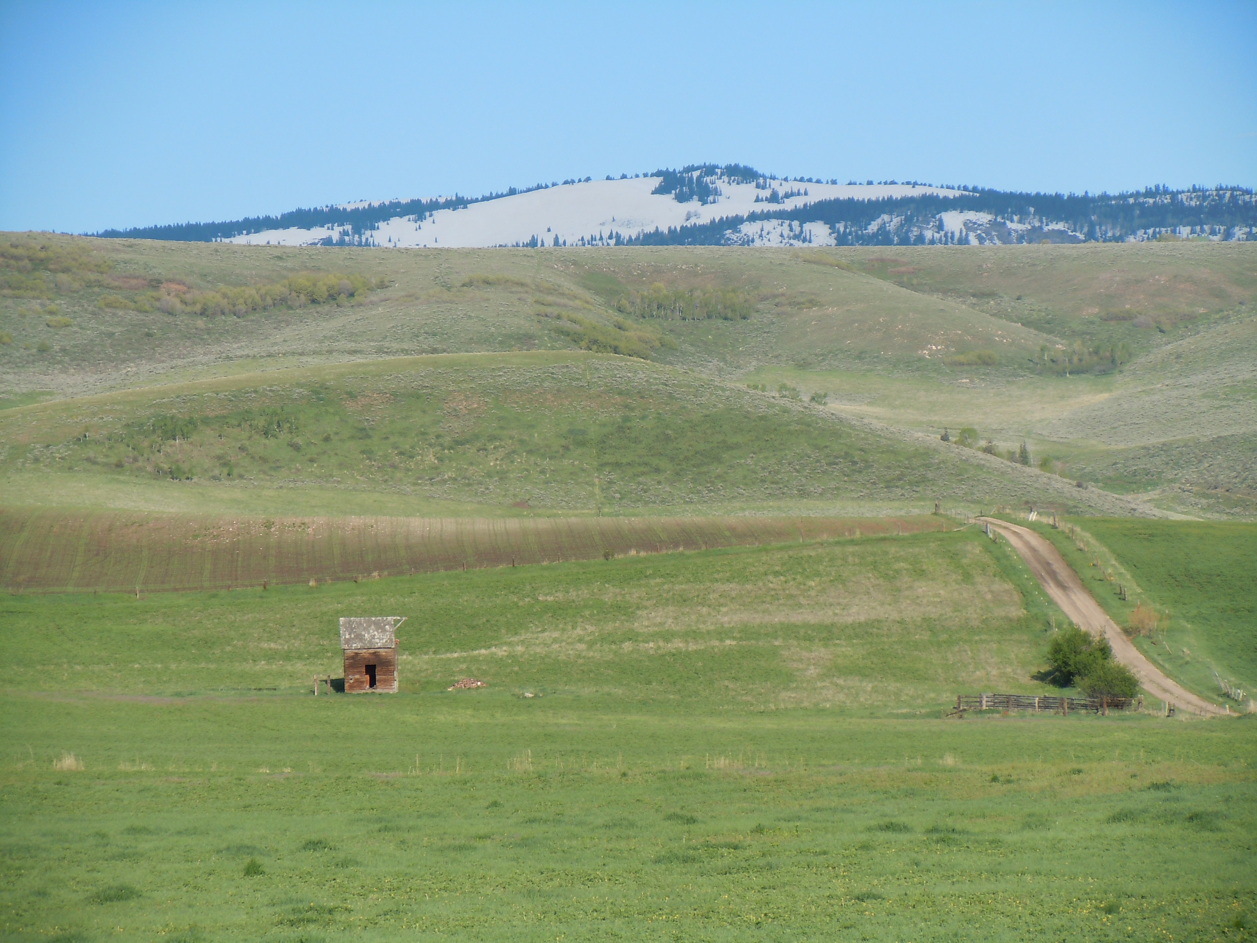 DSCN3043.JPG