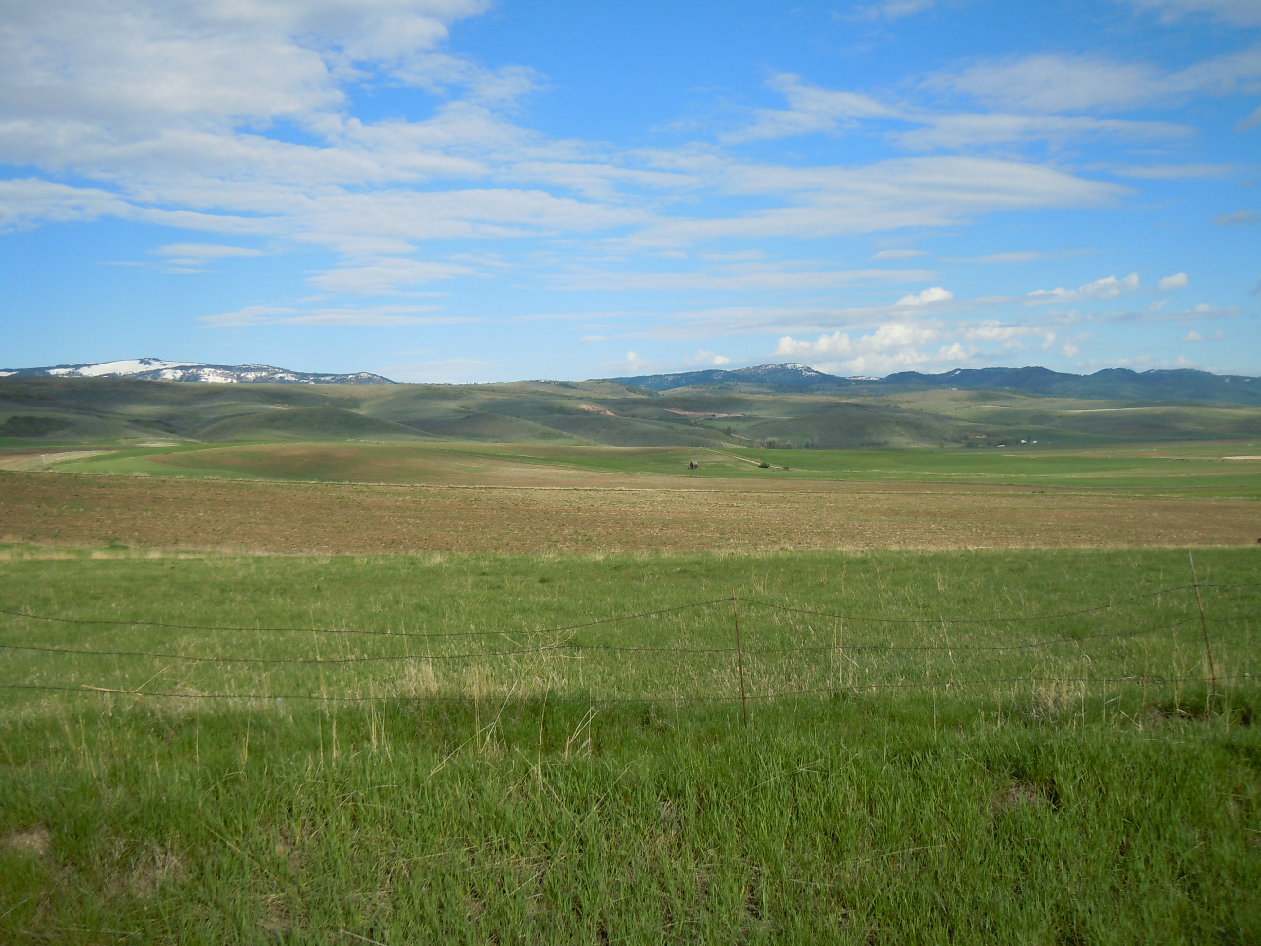 DSCN3045.JPG